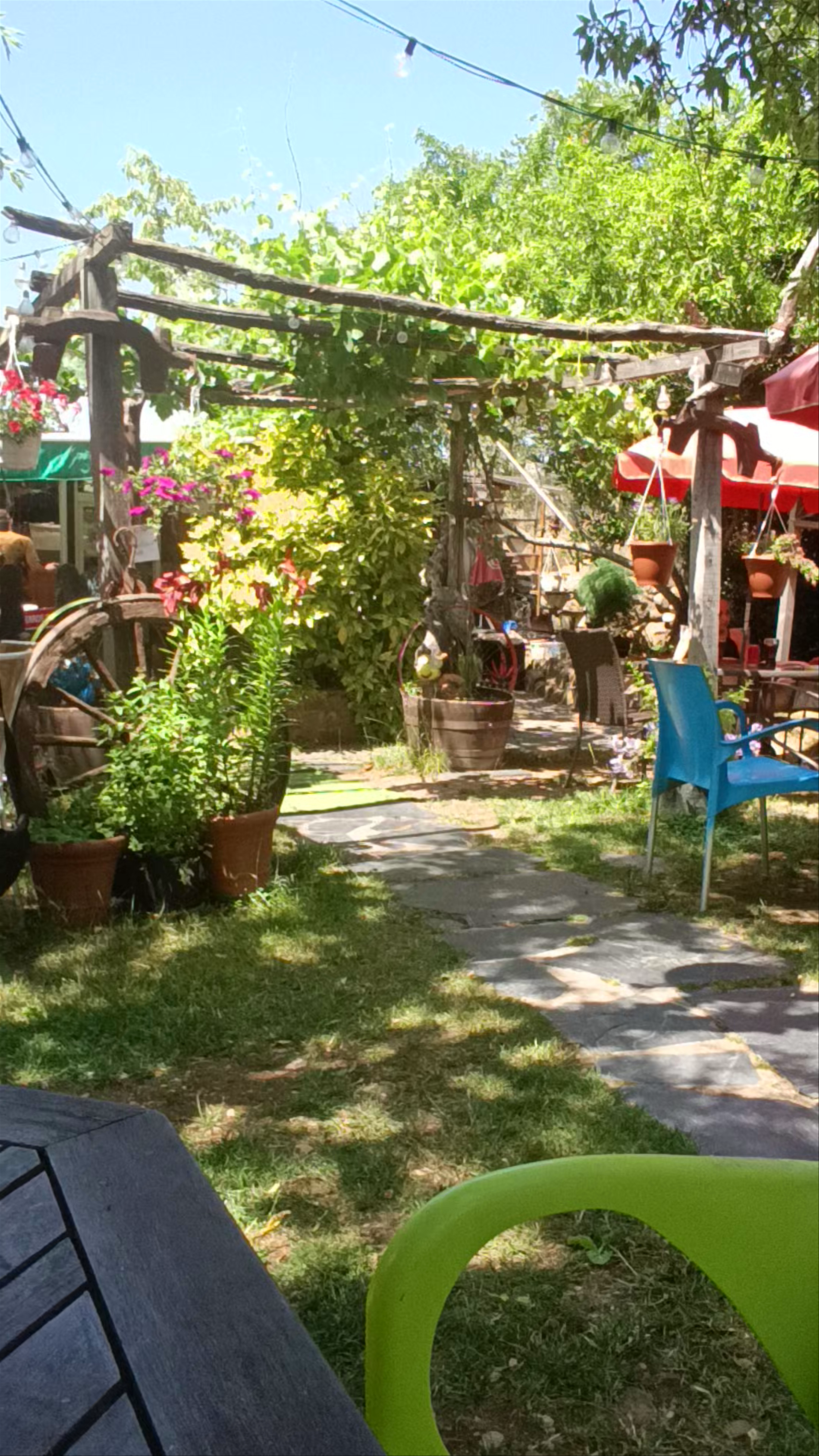 Bar taperia o Camiño real