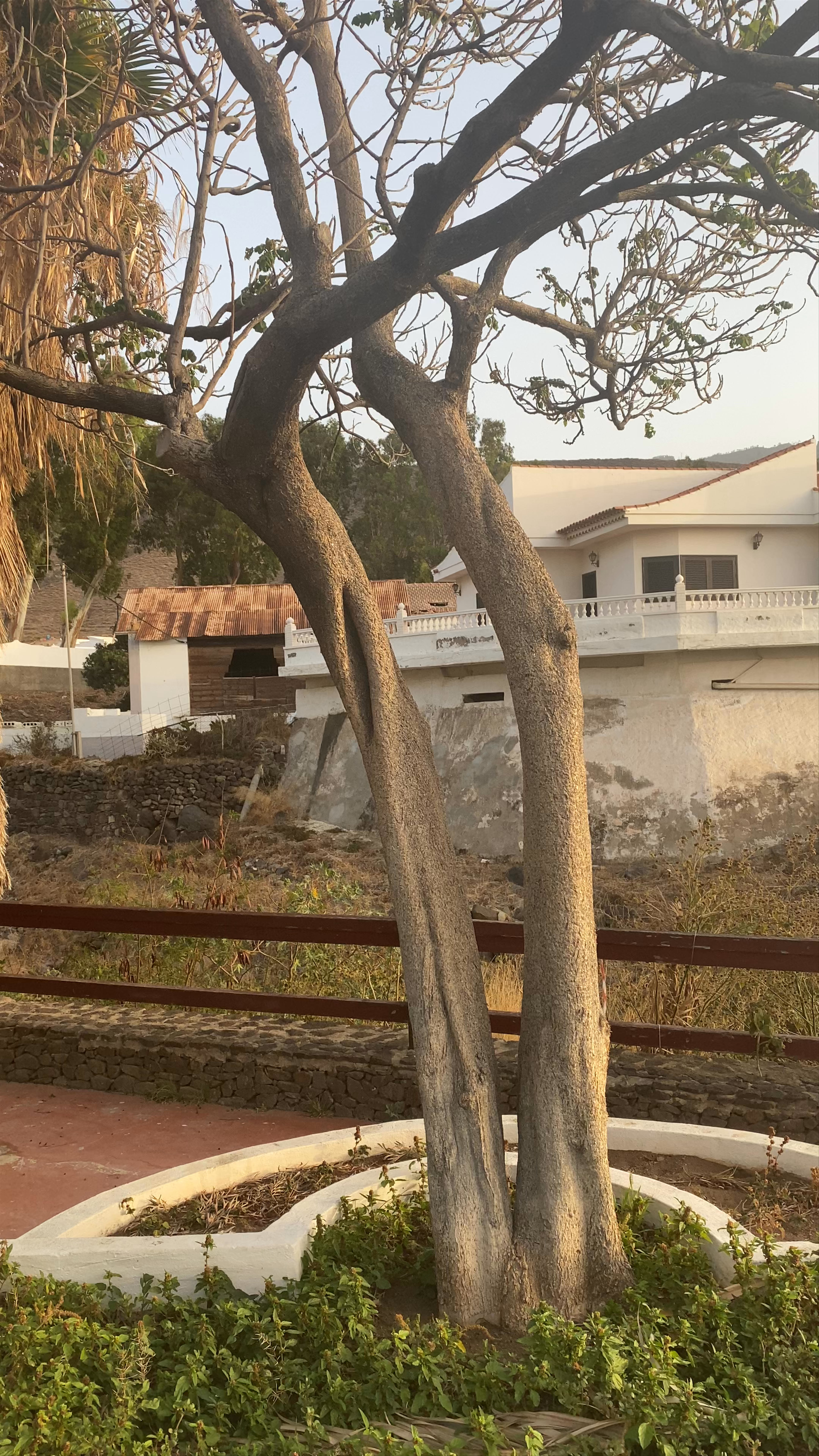 Museo de La Rama Park