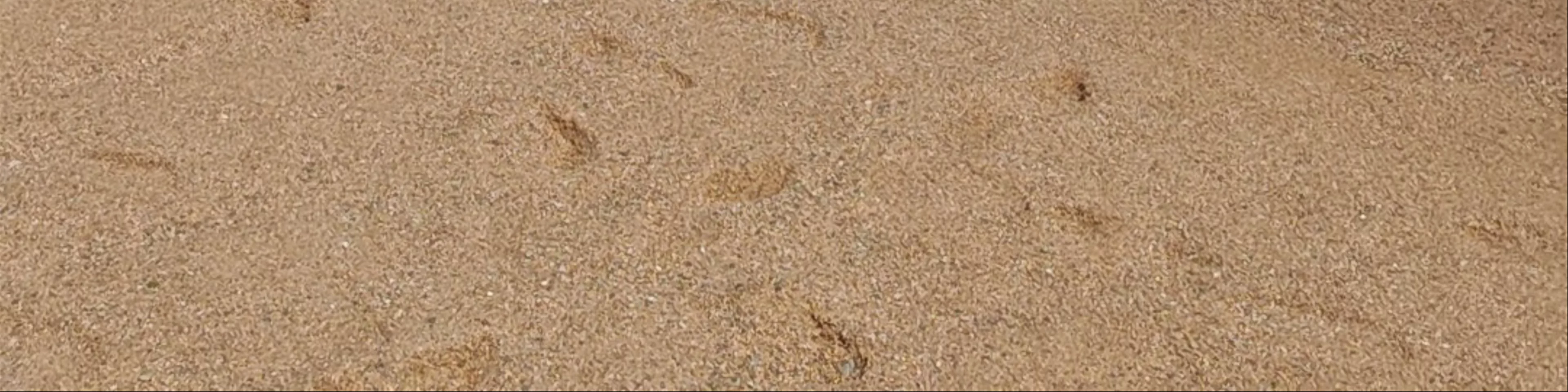 Plage d'Isolella - Arinella di l’Isulella