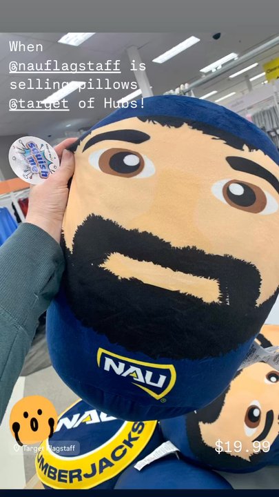 Target - Lumberjack Louie Heads $19.99 each - Department Stores Near Me - Flagstaff, Arizona