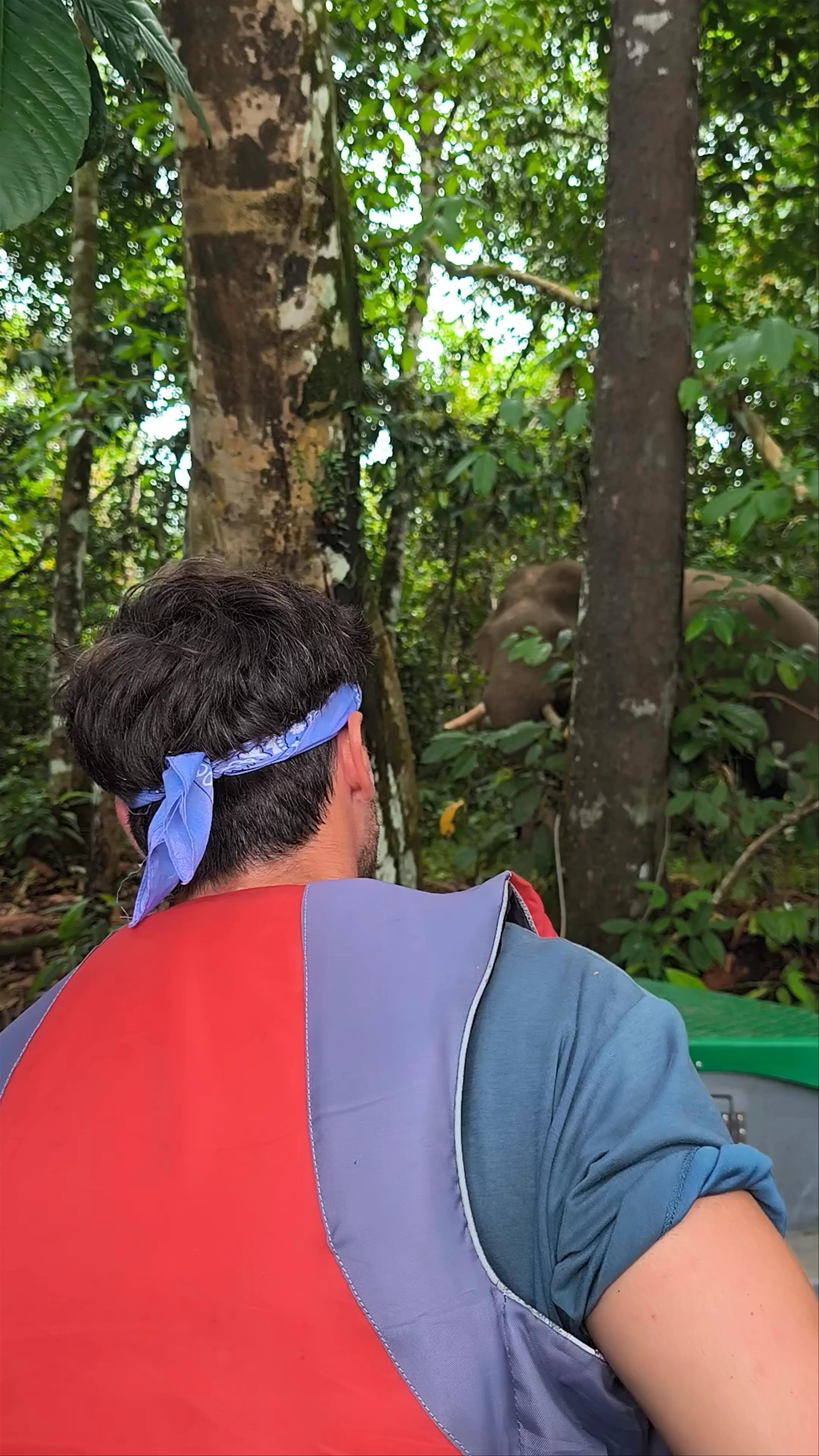 Borneo Eco Tours (Sandakan Branch)