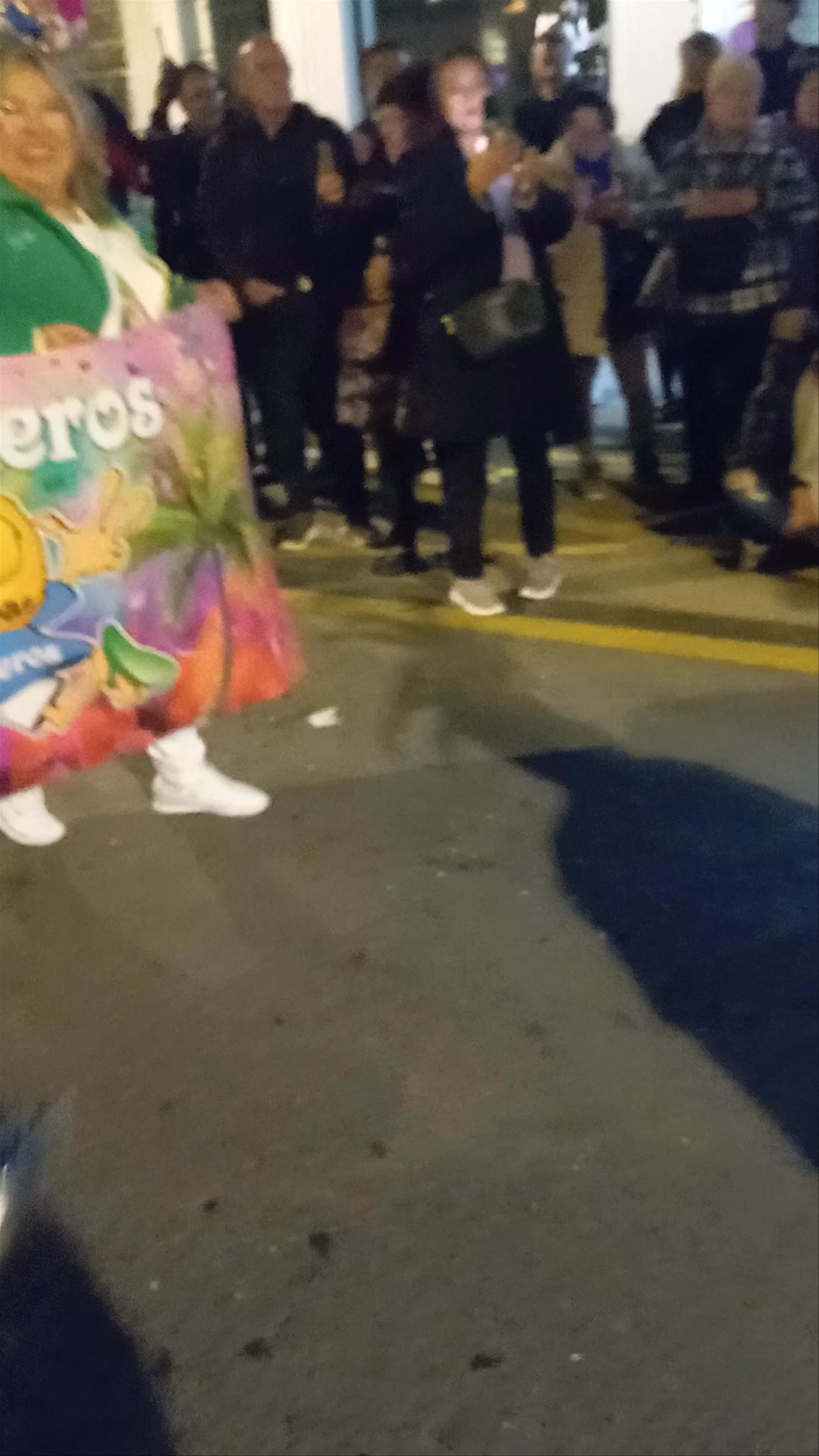 Carnival Celebration at La Boba y el Gato Rancio, València