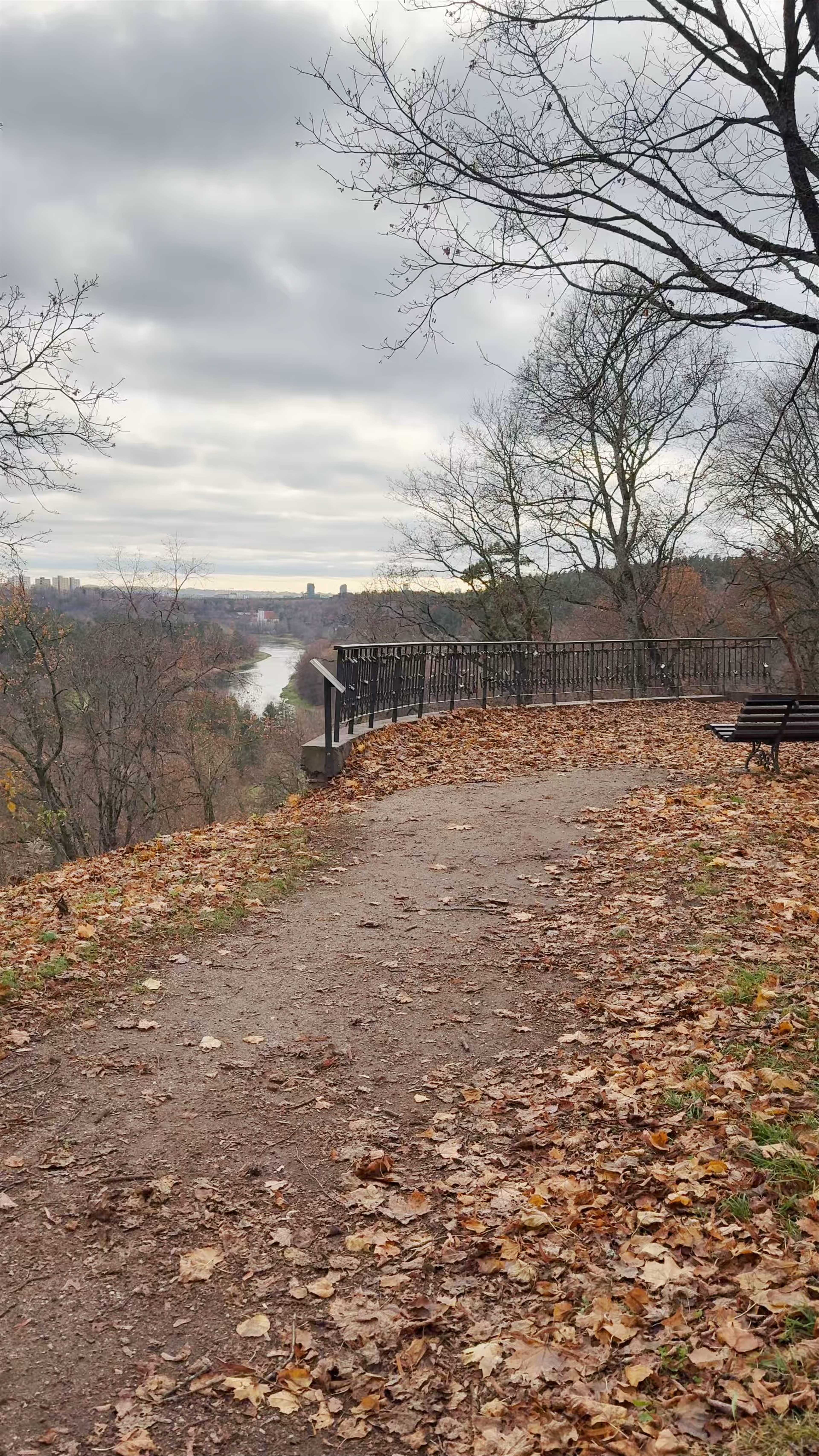 Verkių rūmų apžvalgos aikštelė
