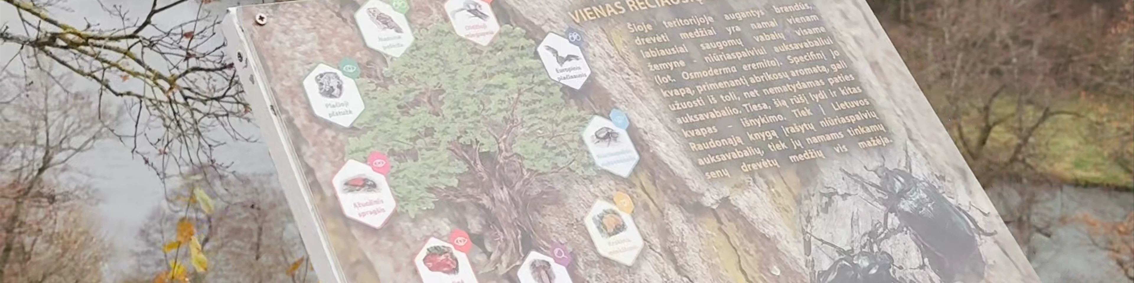 Verkių rūmų apžvalgos aikštelė