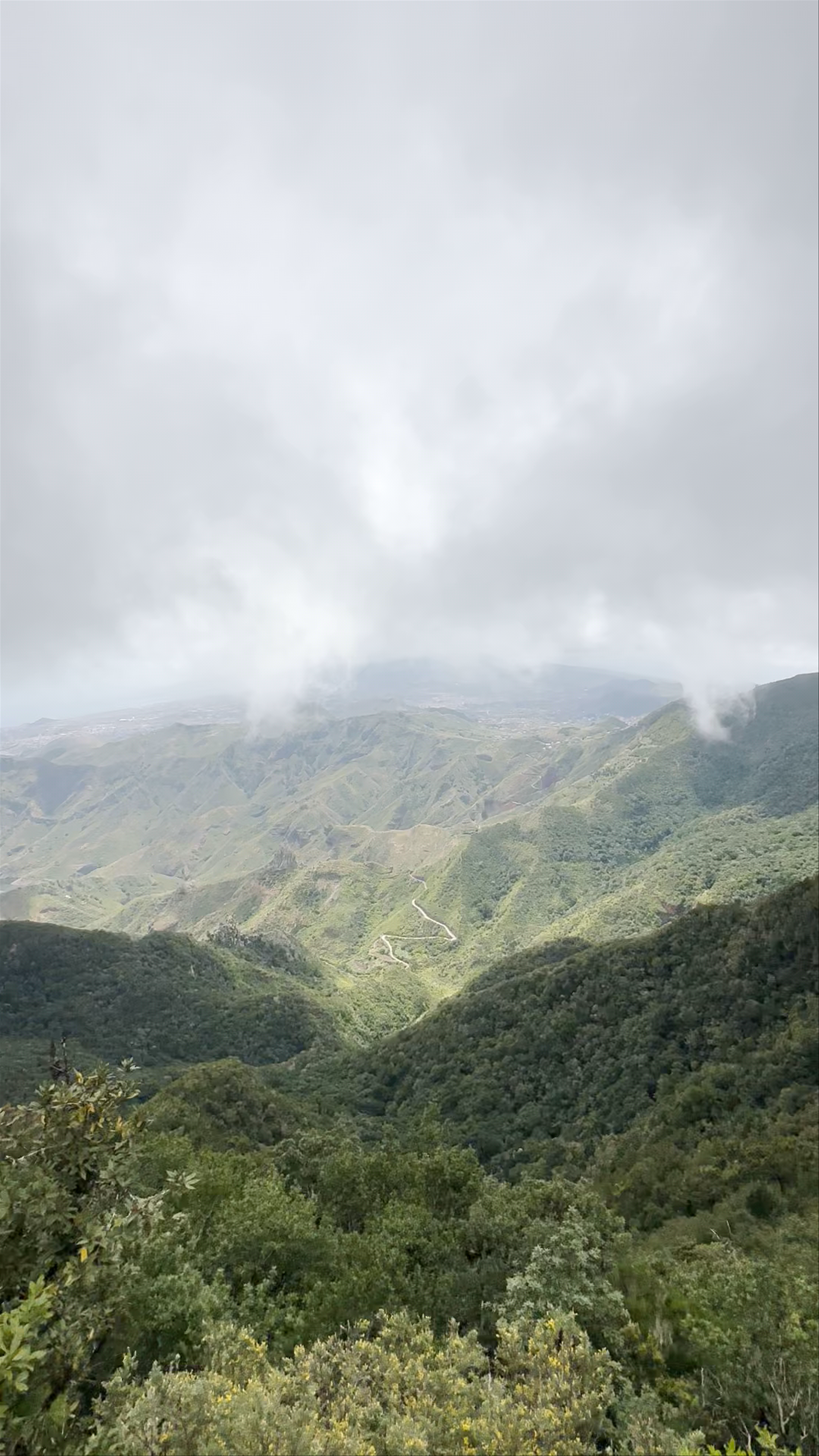 Bosque Encantado (La Ensillada) - El Pijaral