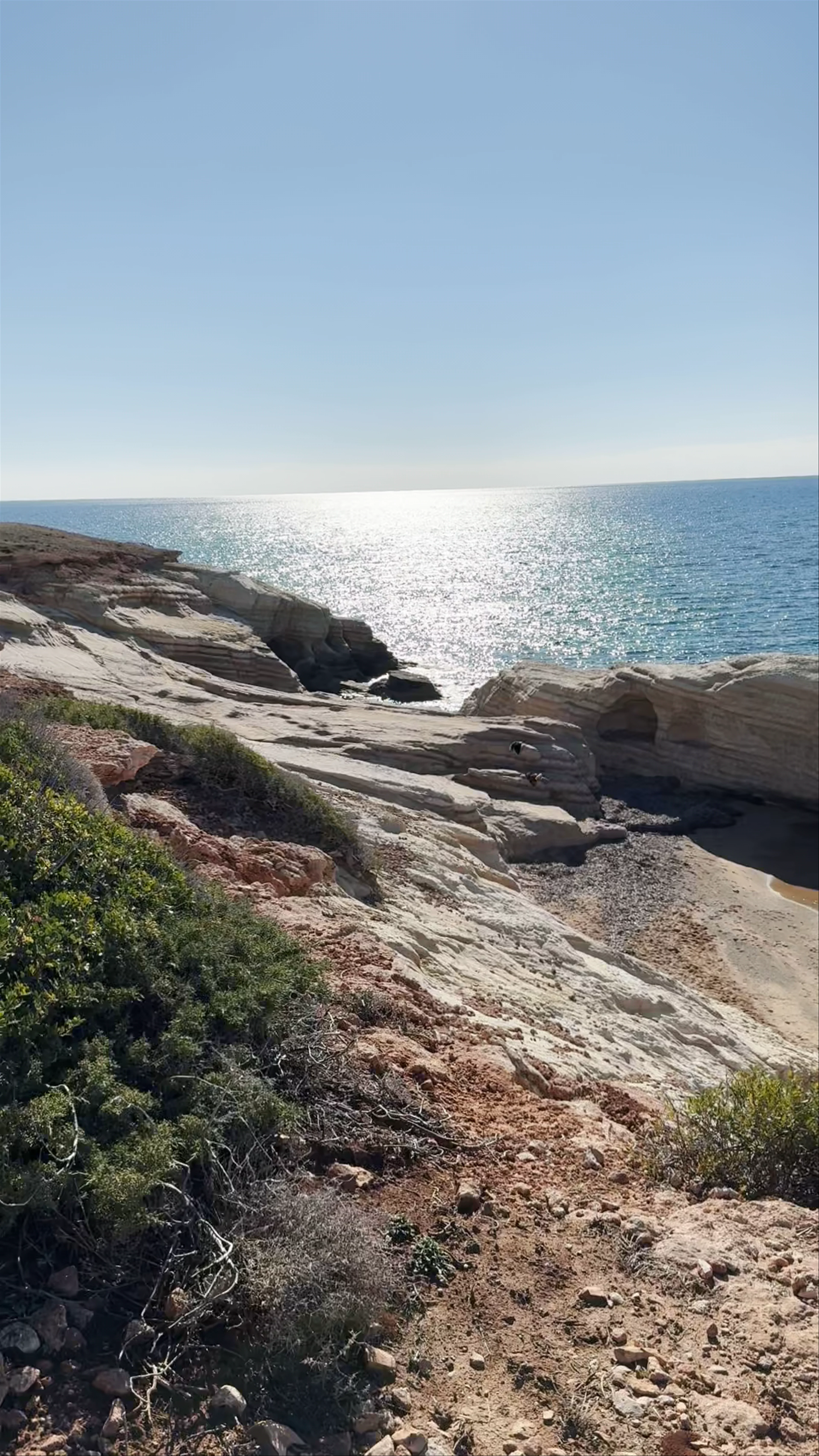 Olive Tree Beach