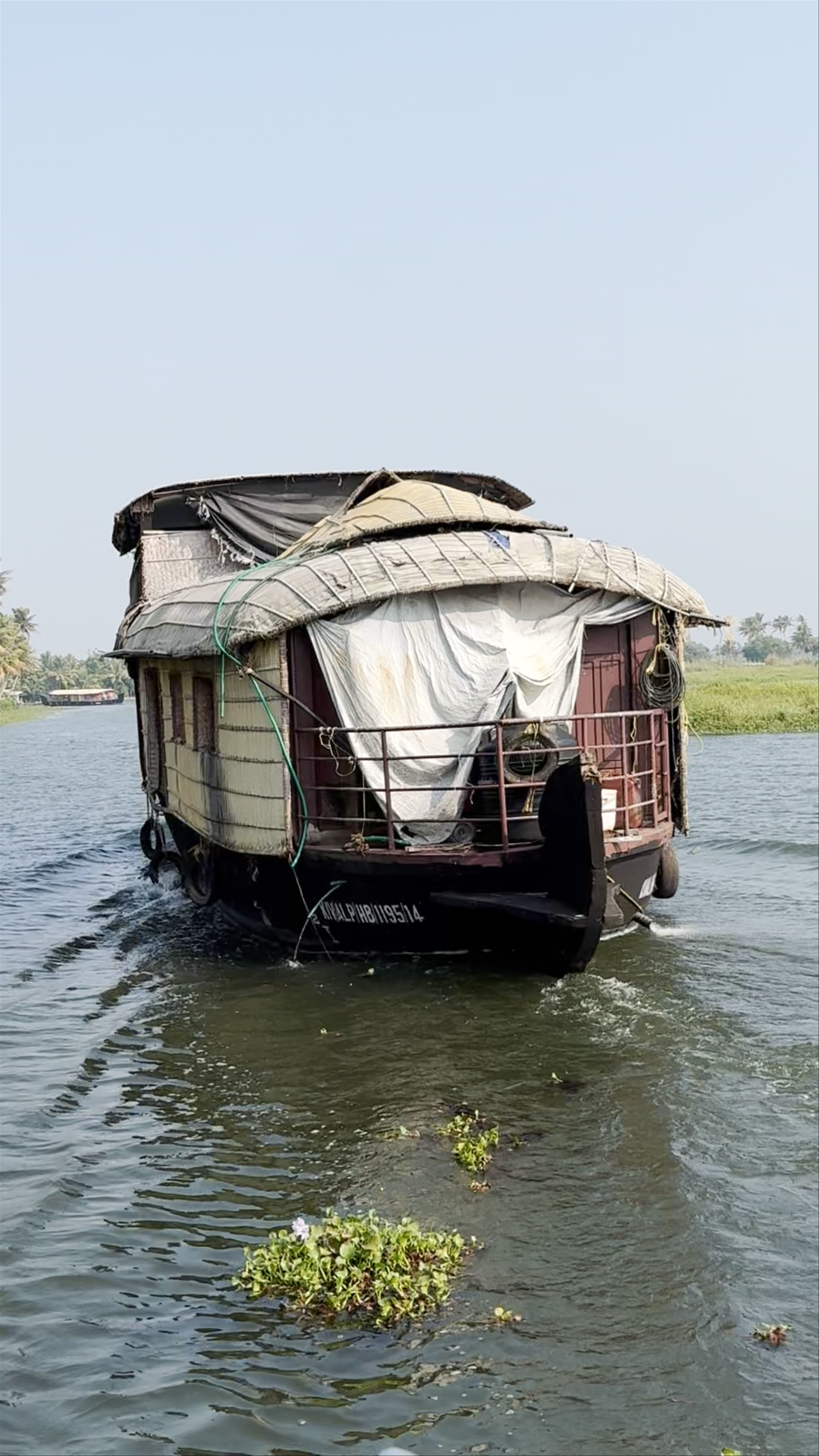 Kumarakom Bird Sanctuary: Serene Nature Escape in Kerala