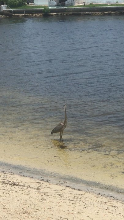 Hudson Beach Park - Beach area - Parks Near Me - Hudson, Florida