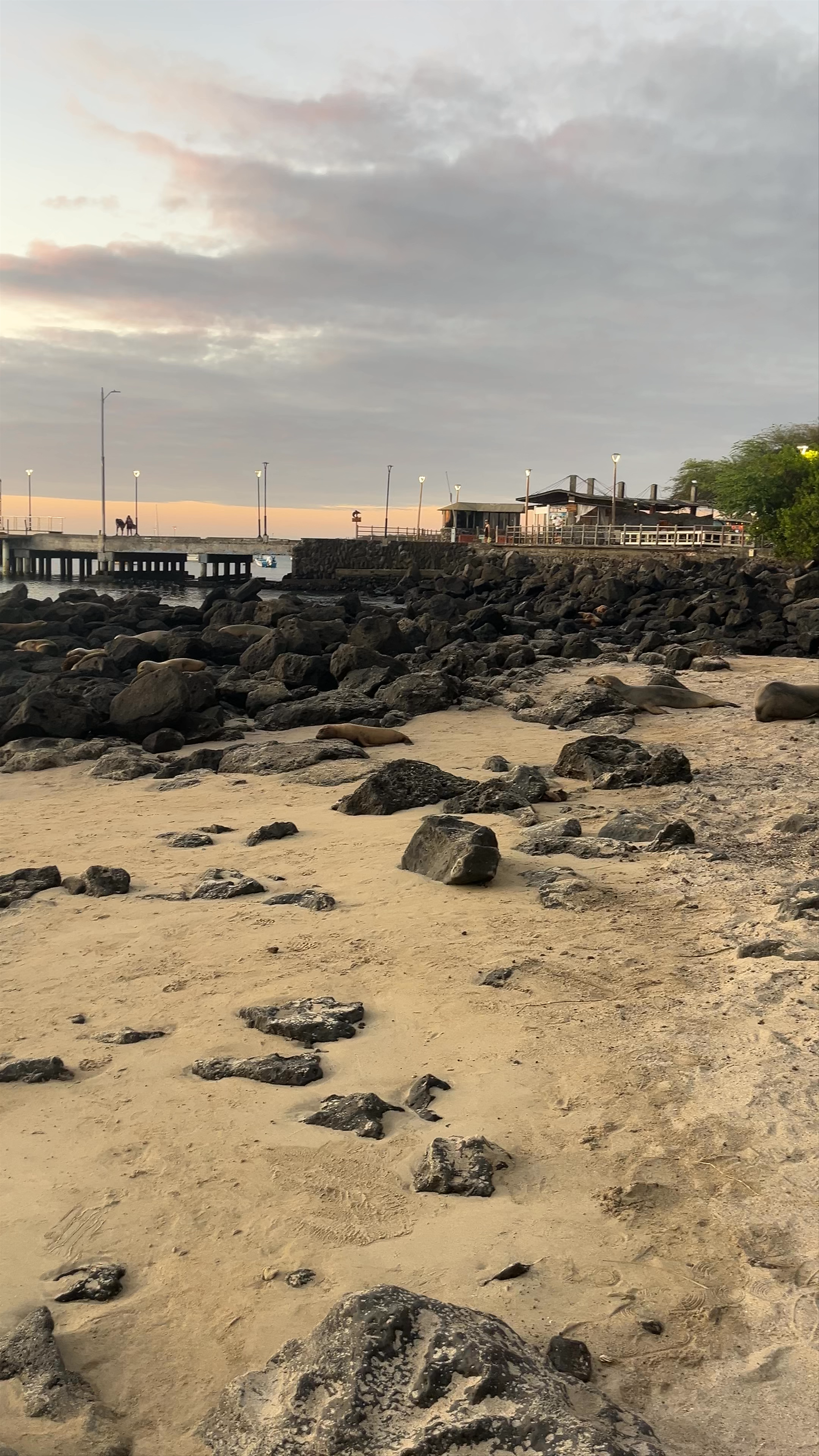 Sunset Serenity at Playa de Oro, Galápagos Islands