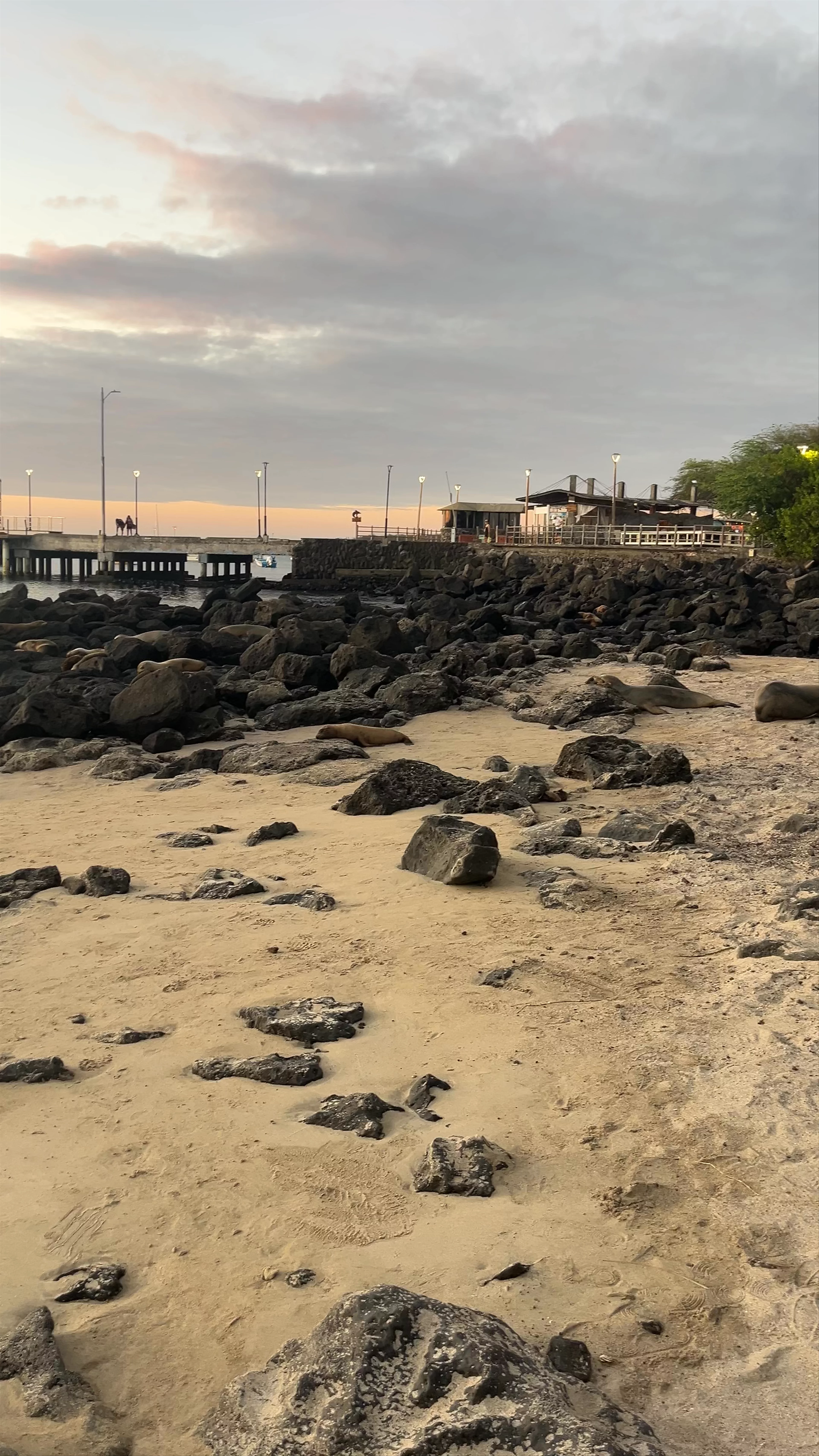 Playa de Oro