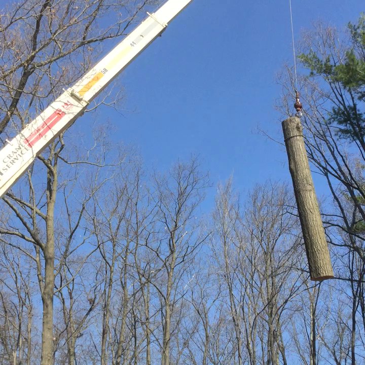 Zielinski's Tree Services - Crane job to remove oak tree from over the house. - Tree Services Near Me - Pound, Wisconsin