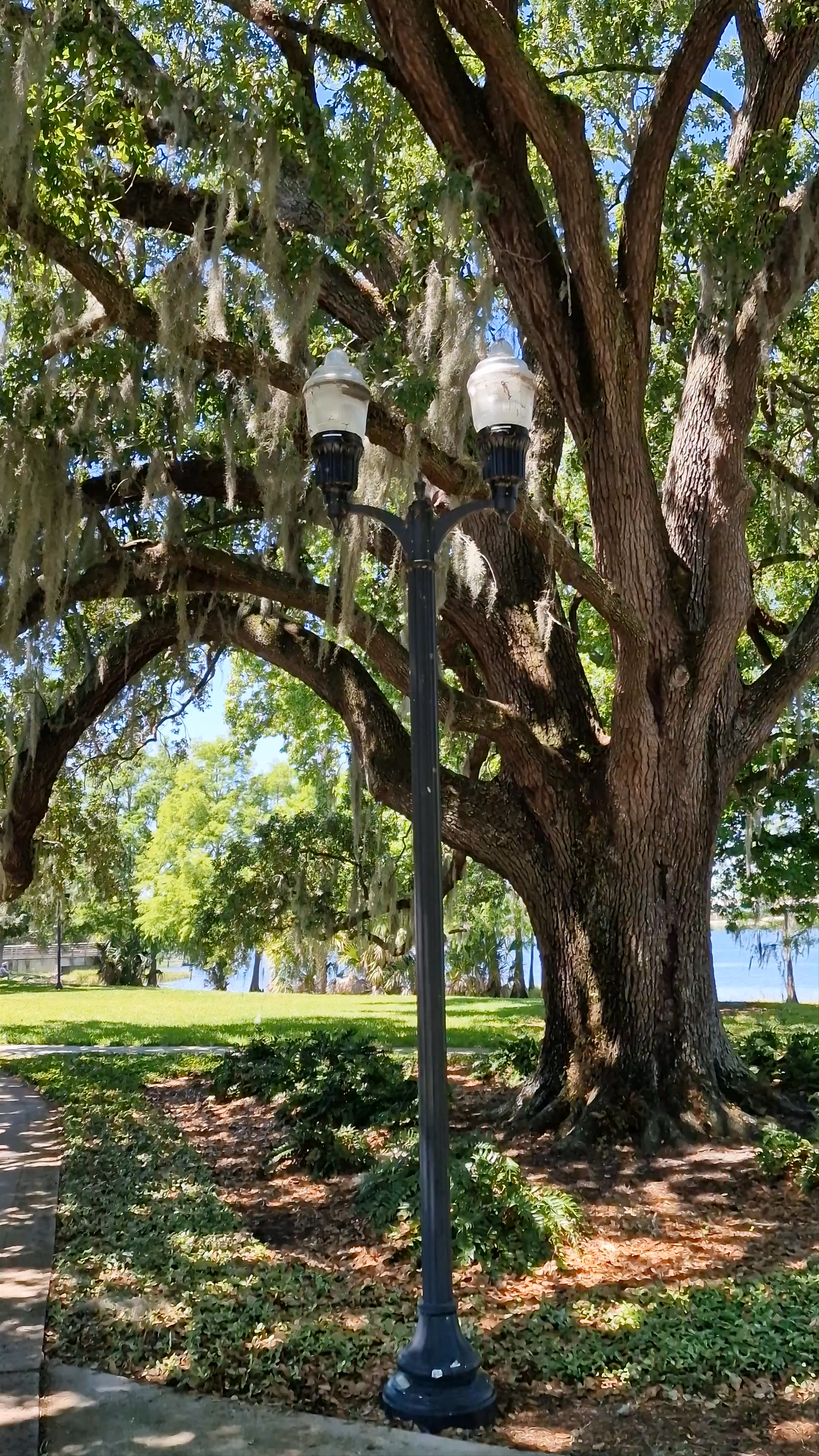 Gaston Edwards Park