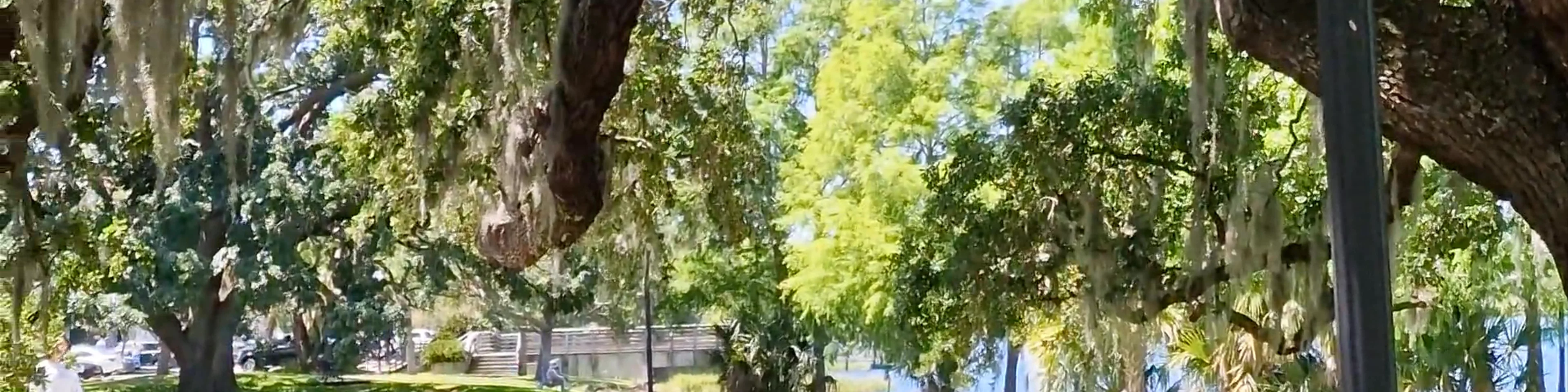 Gaston Edwards Park