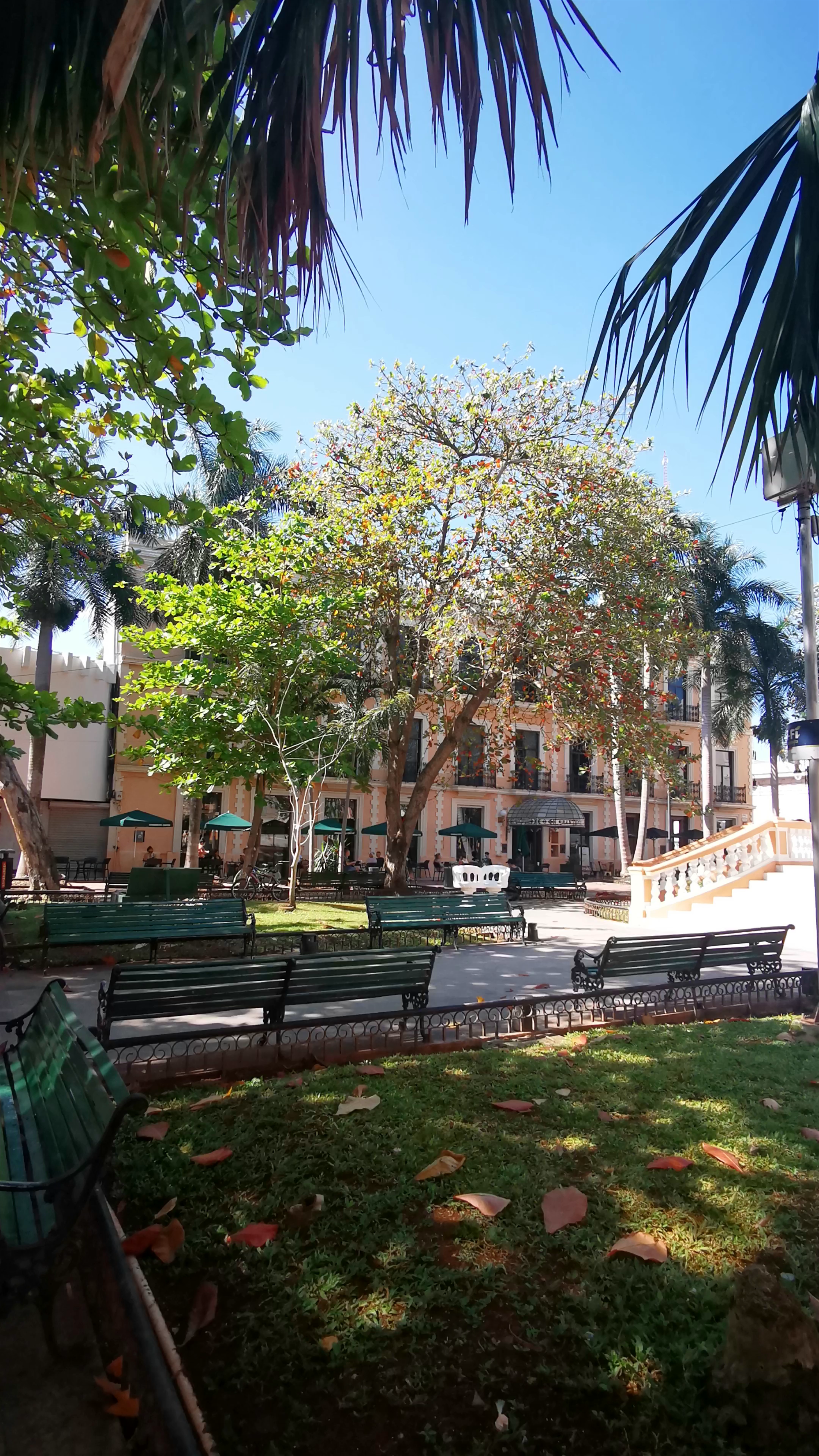 Paseo de Montejo: A Tranquil Stroll through Mérida's Historic Heart