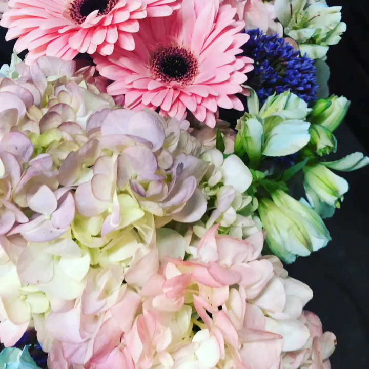 Cute Creations Floreria - Hermosa guía - Floral Designers Near Me - Los Angeles, California