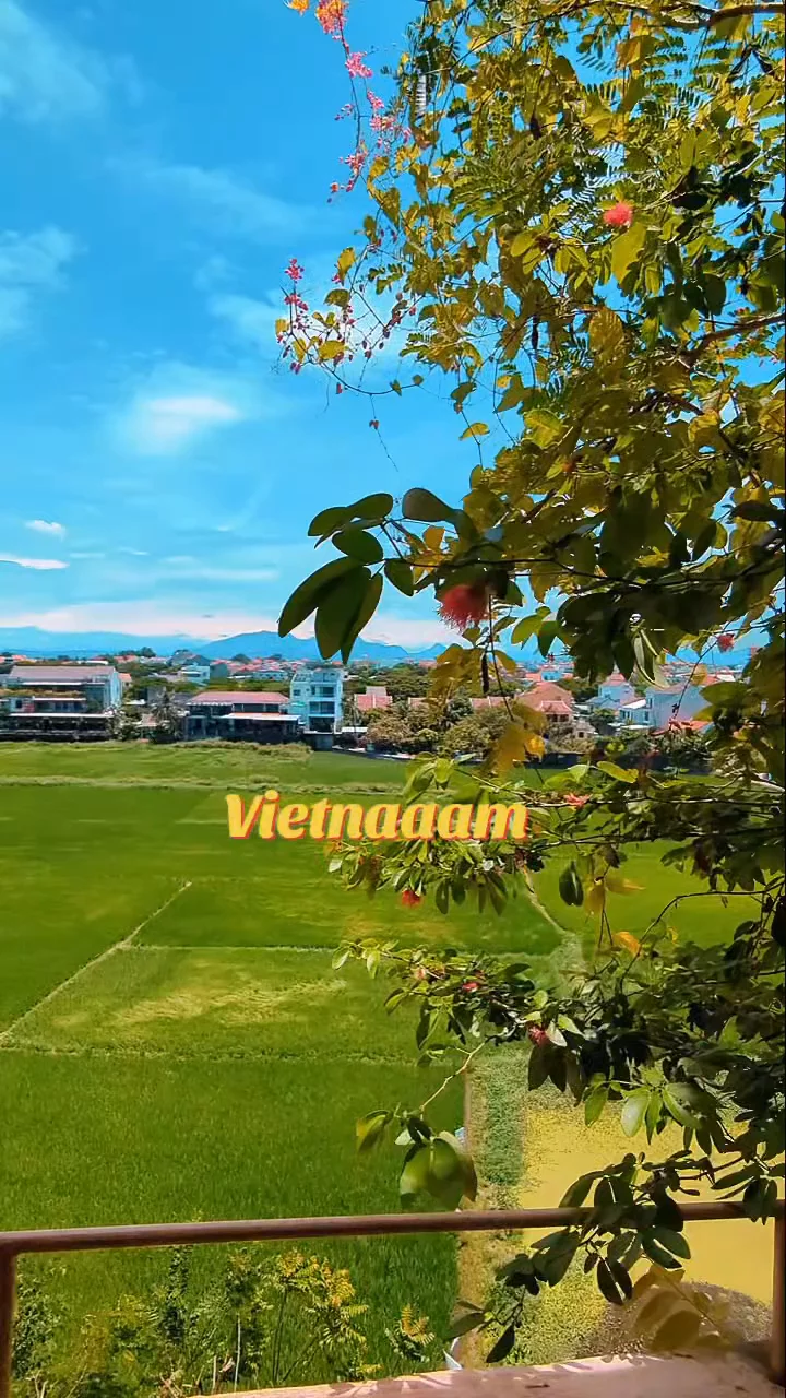 Vietnam recap