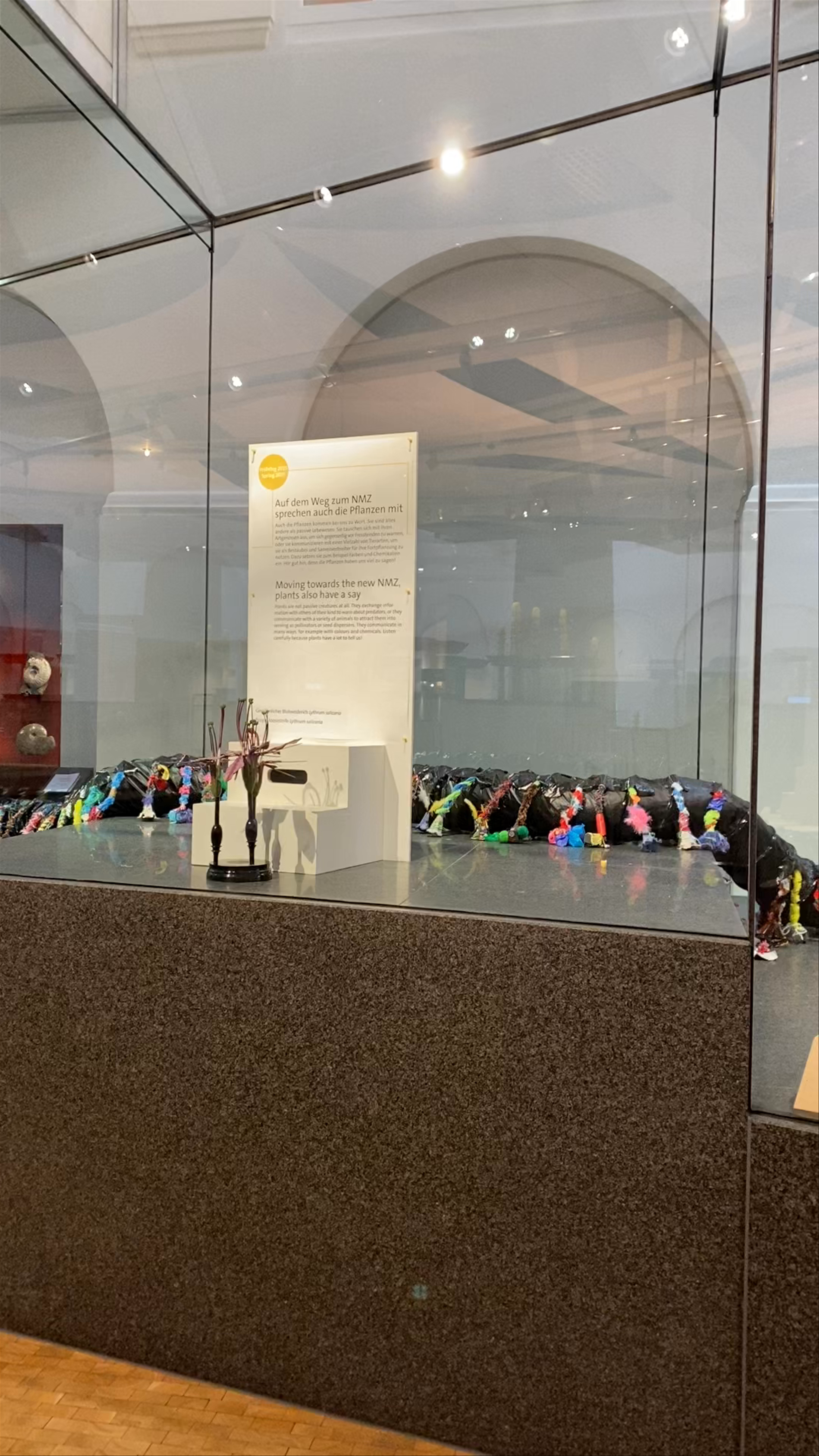 Zoological Museum of Zurich