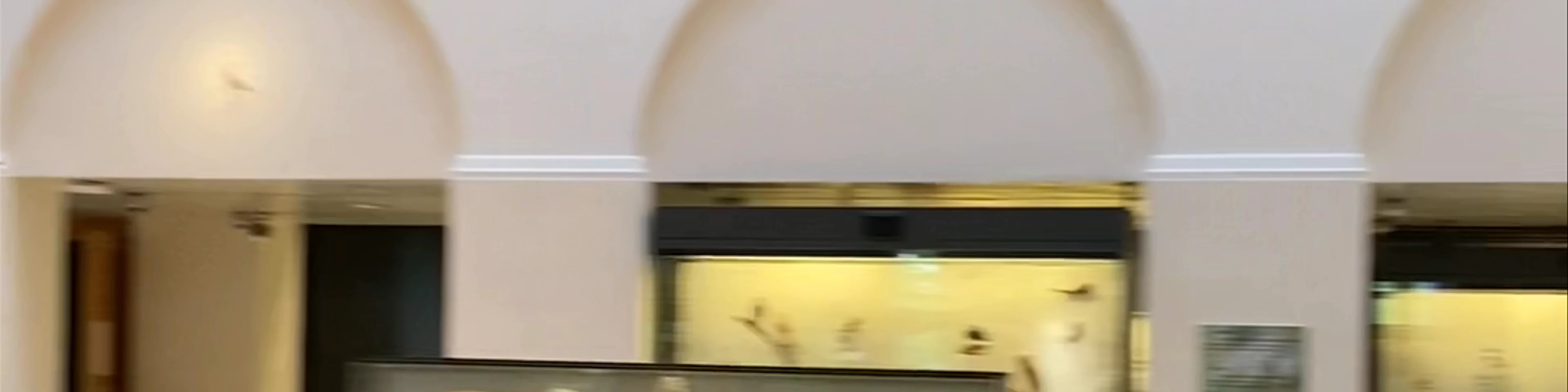 Zoological Museum of Zurich