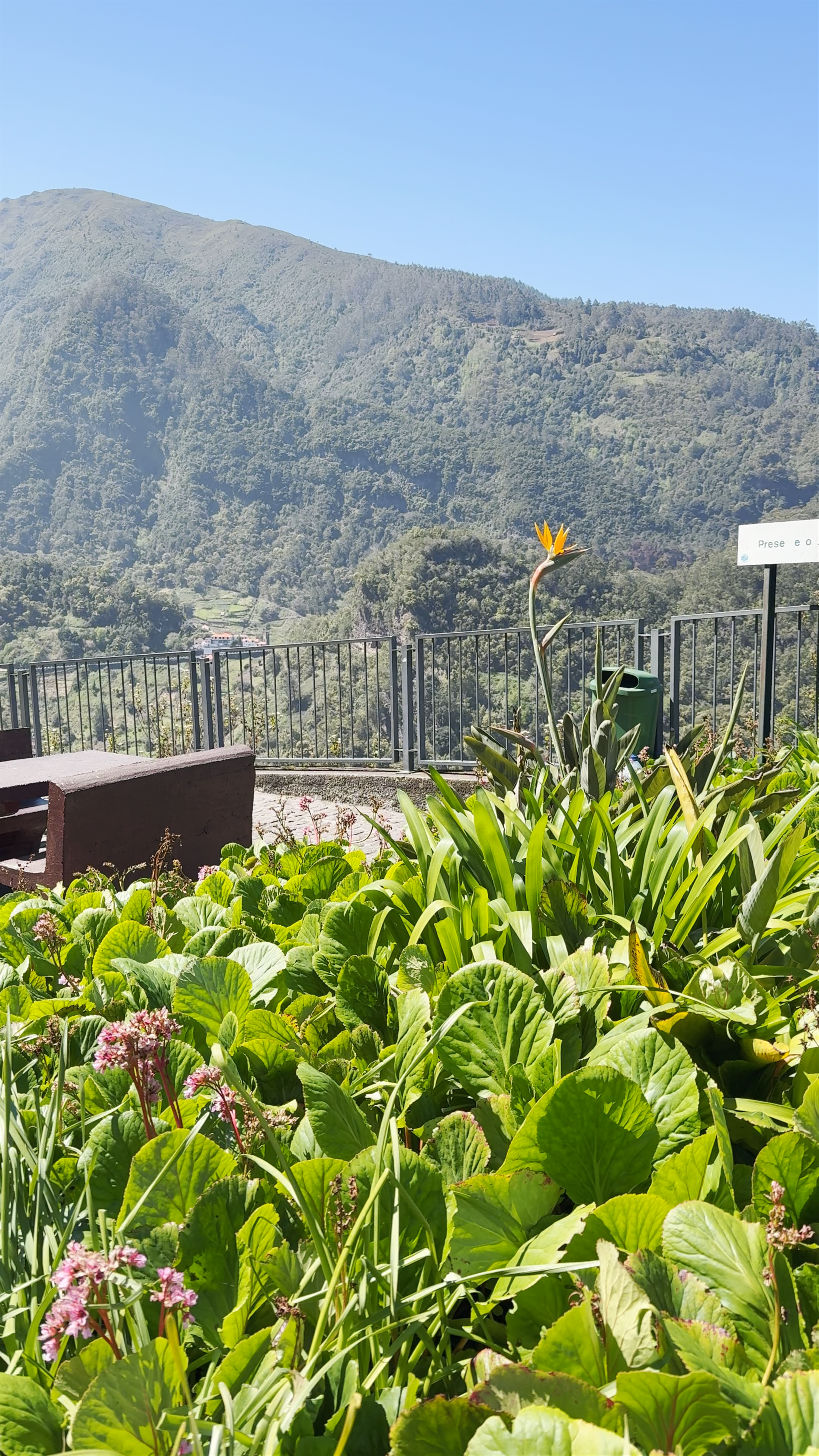 Miradouro do Cabouco