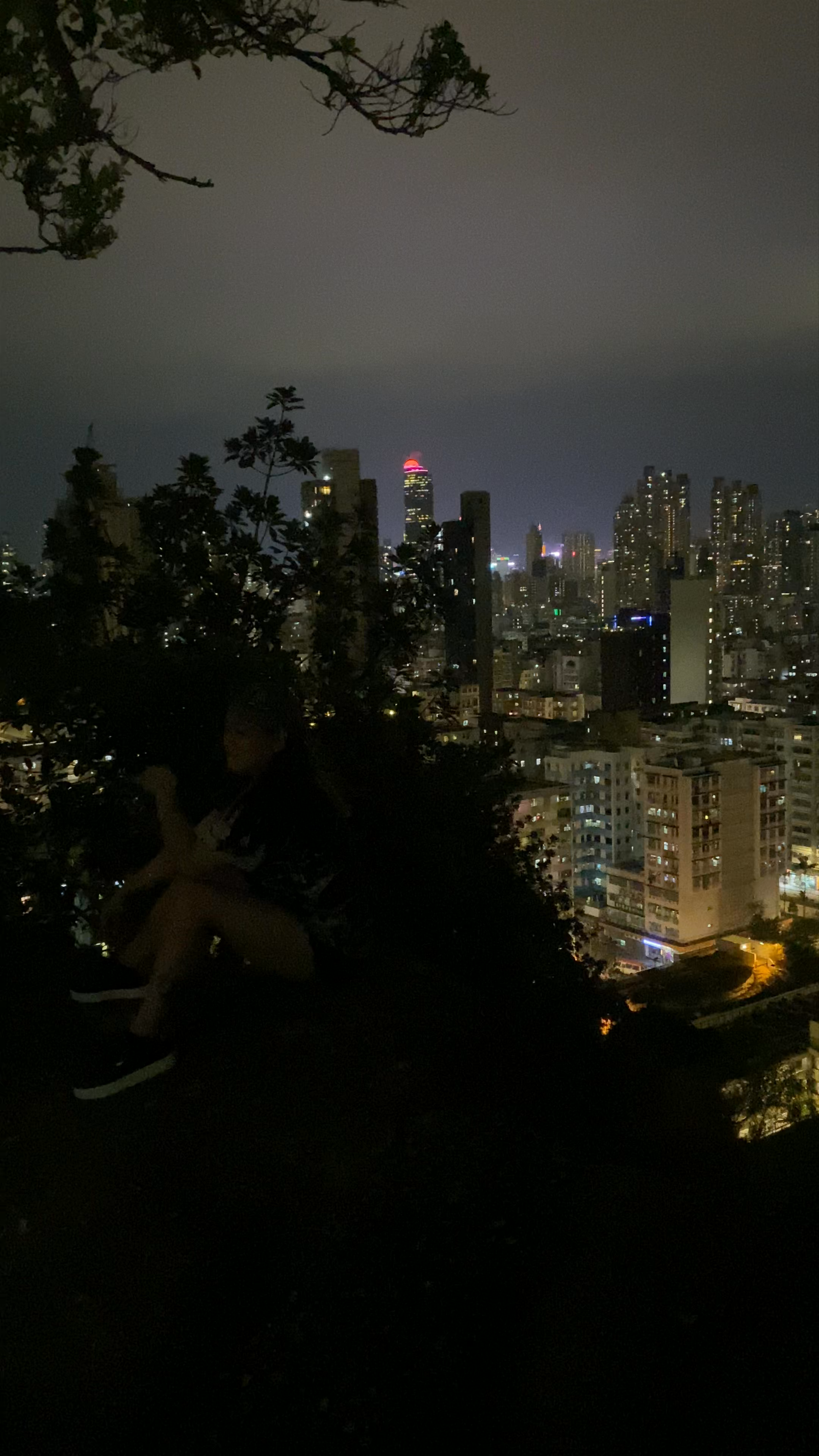 Garden Hill Nightscape: Urban Serenity and Hong Kong Skyline Views