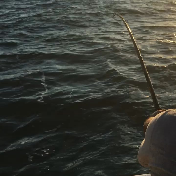 Mad Shark Charters - The video was great - Fishing Near Me - Darien, Georgia