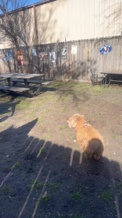 Underdogs Pub - Pubs Near Me - Houston, Texas