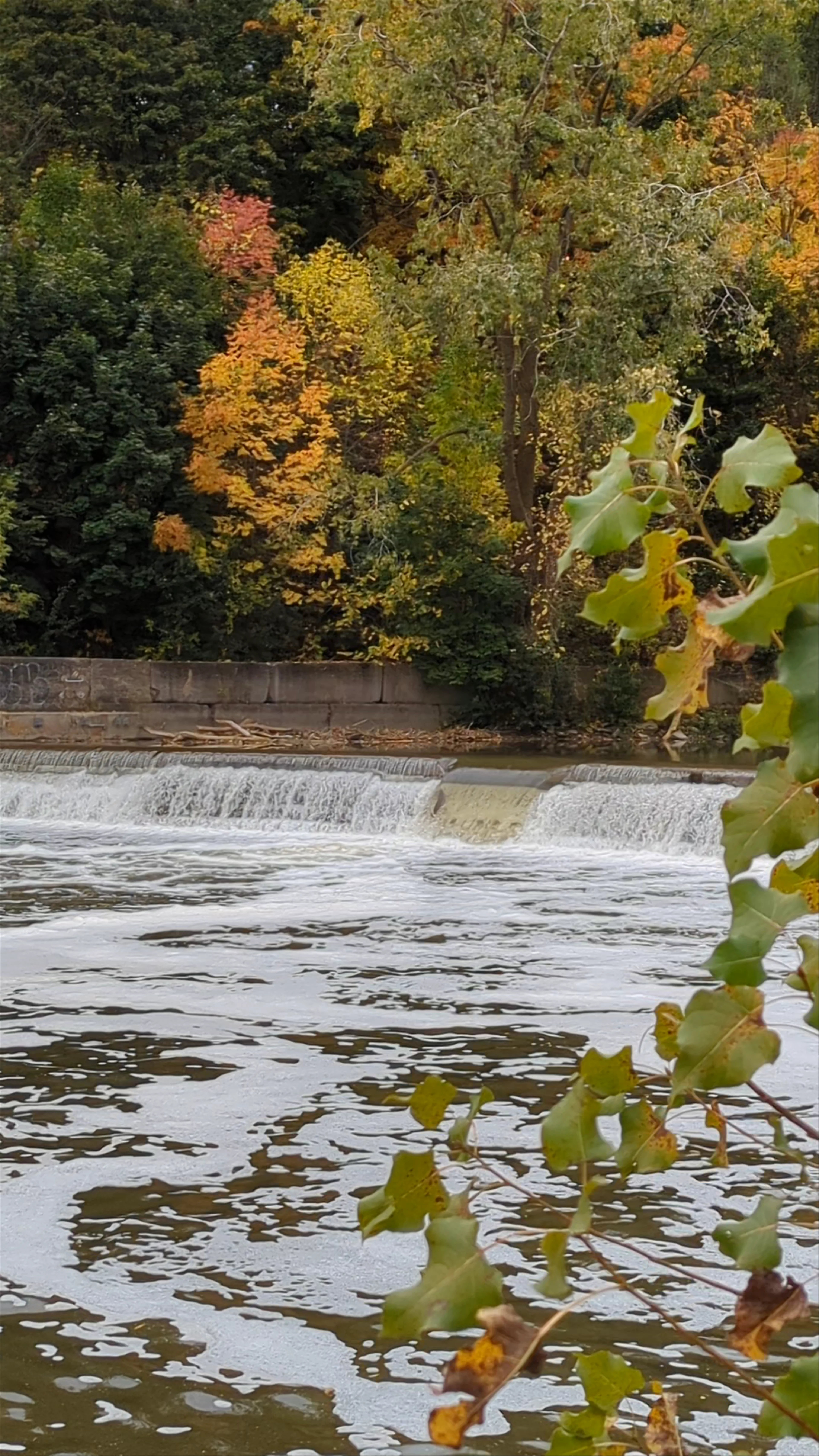 Parc Etienne Brulé, Catherine Avenue, York, Toronto