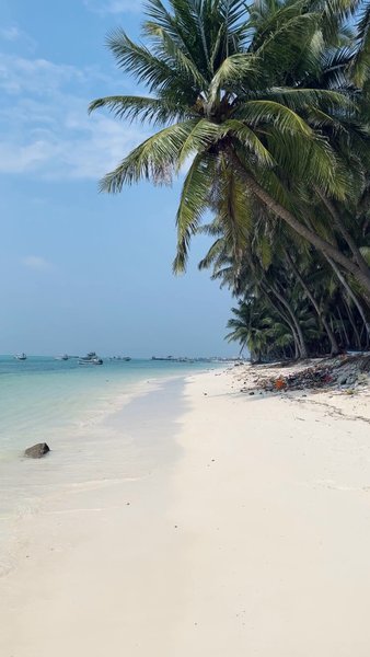 Photo of Quest for peace and 