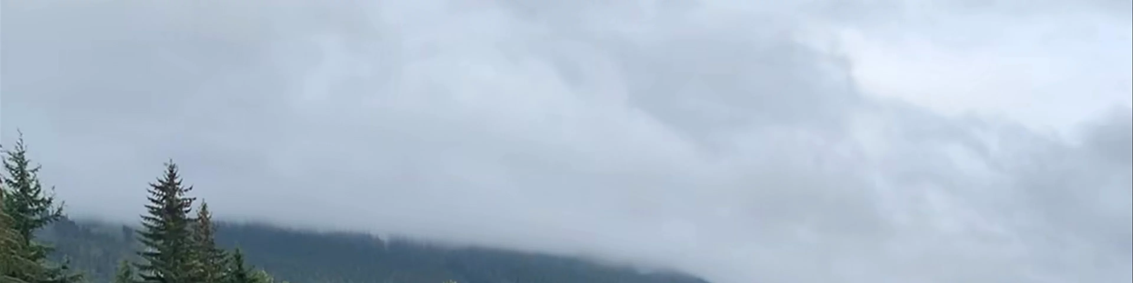 Whistler Olympic Park