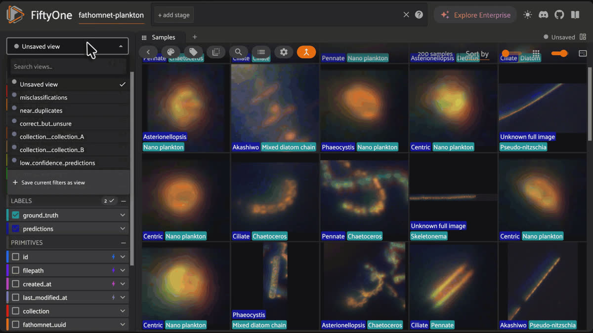 Switching between saved views such as misclassifications in the FiftyOne App, then inspecting a CLIP zero-shot prediction on a FathomNet plankton crop
