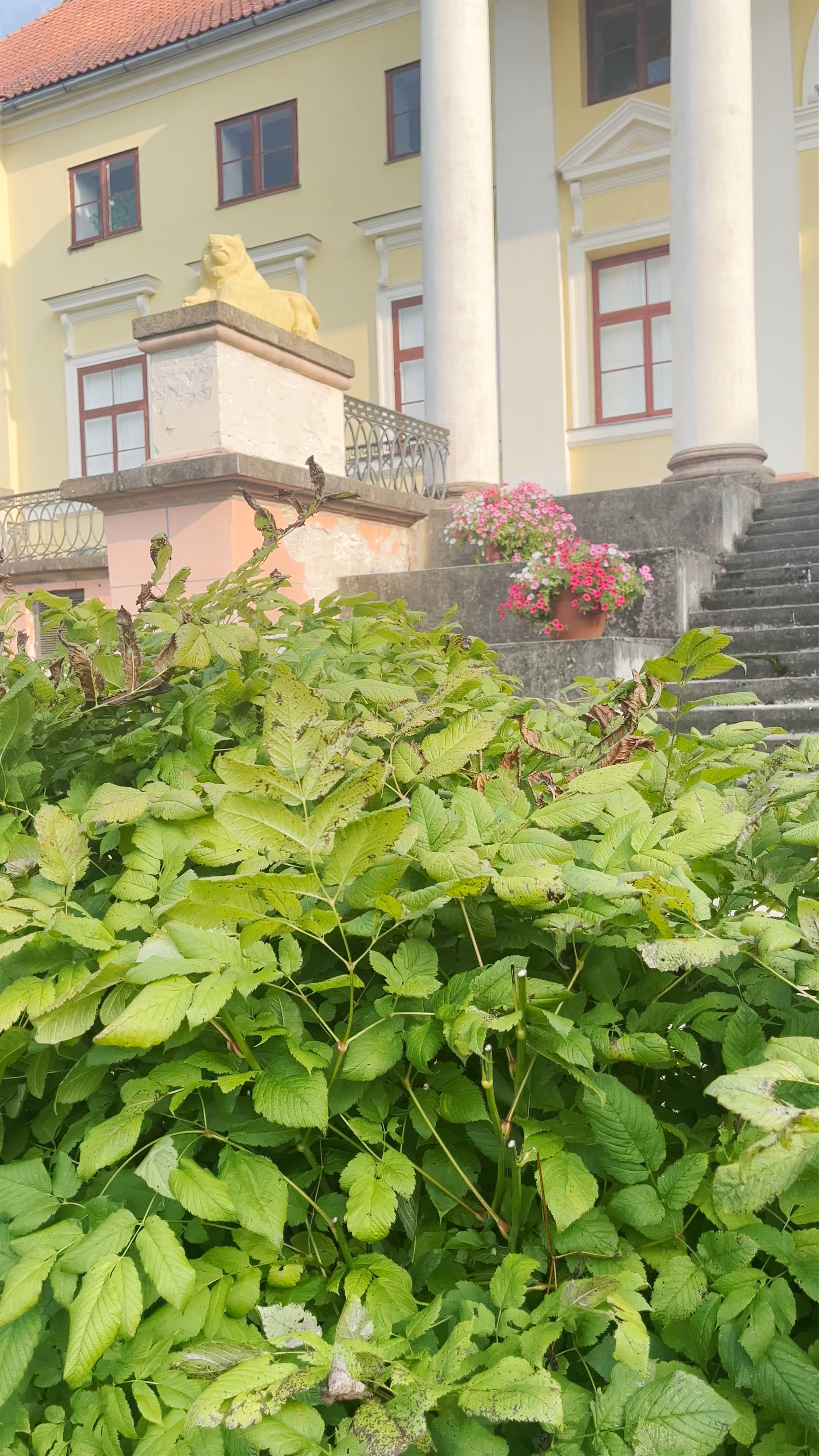 Durbes Castle: Serenity and Historic Charm in Tukums, Latvia