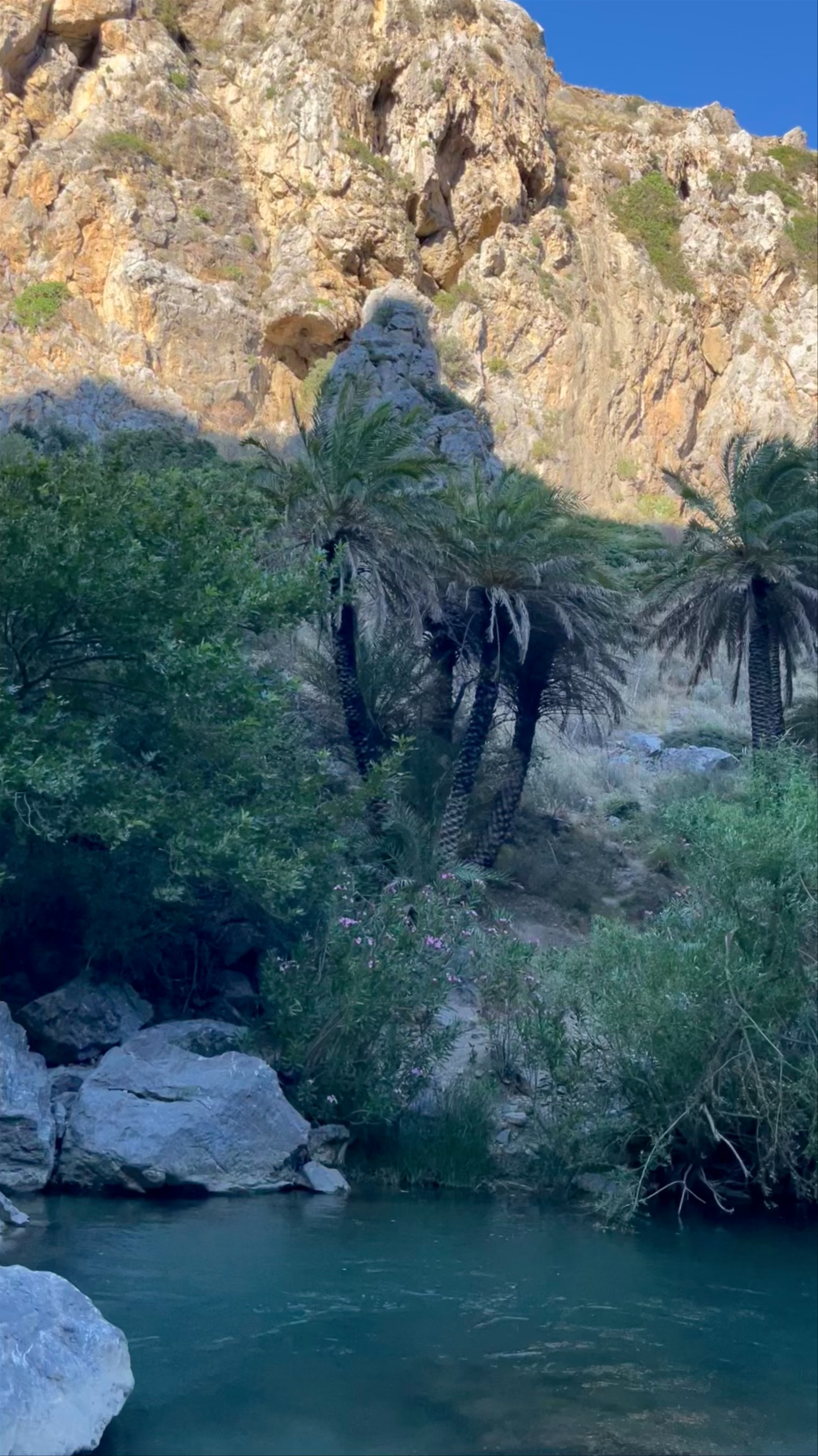 Preveli Palm Forest: A Hidden Oasis in Crete, Greece
