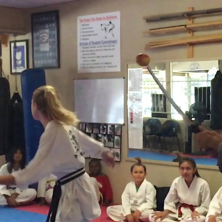 Wang Ho Tae Kwon Do - Taekwondo Near Me - La Mesa, California