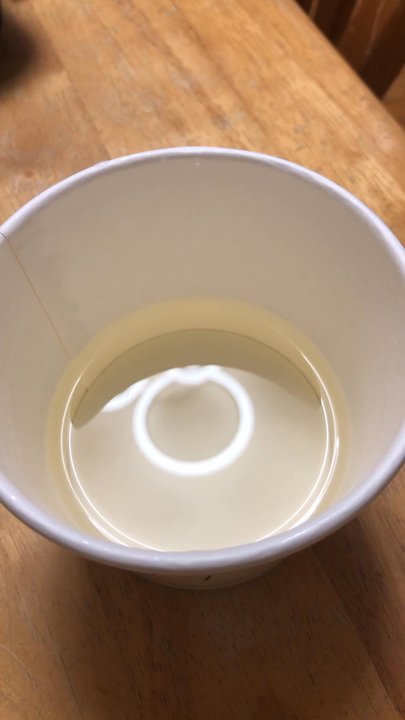 Koi Japanese Cuisine - It's sake time! - Japanese Near Me - Westerly, Rhode Island