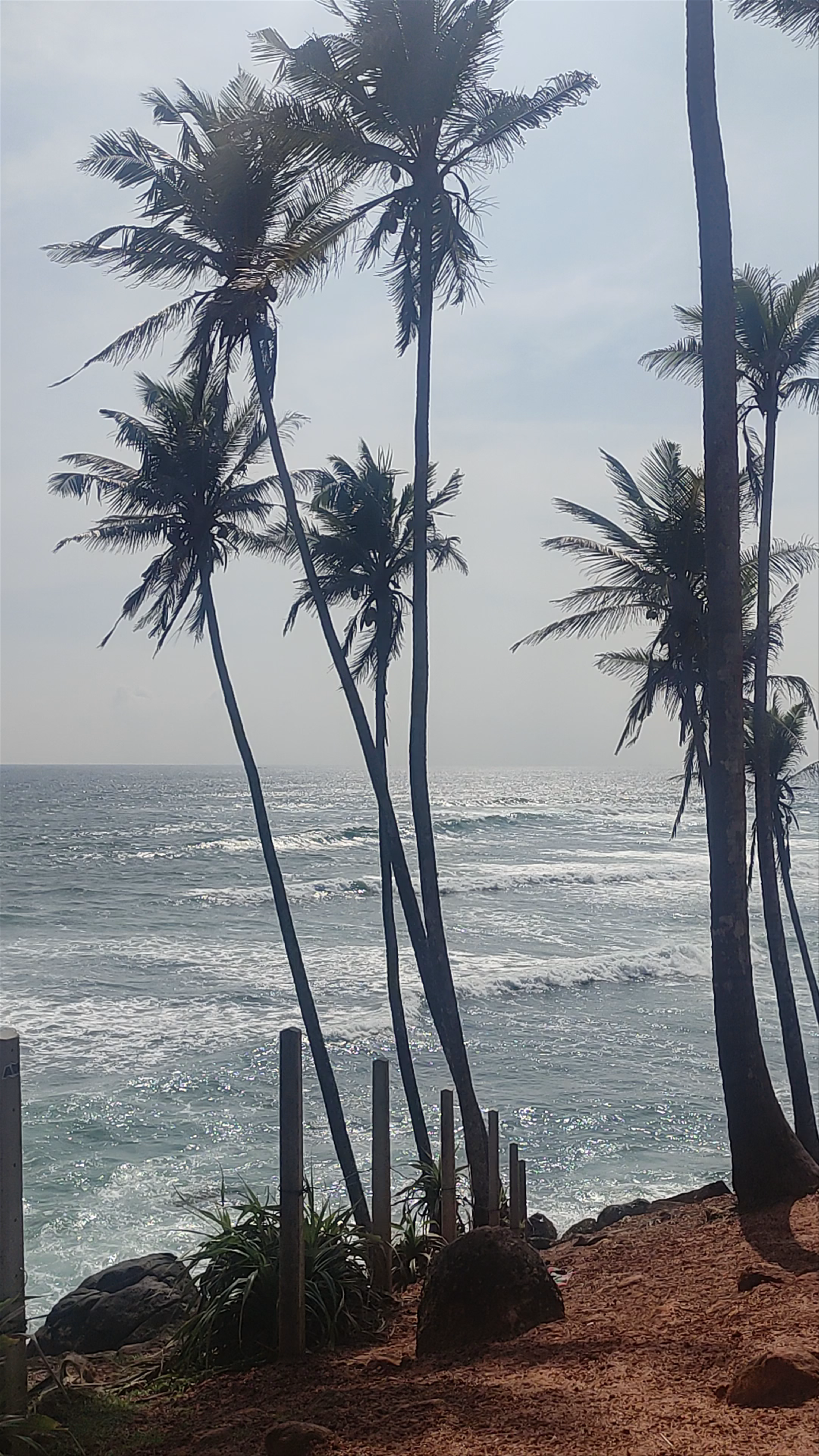 Coconut Tree Hill: Panoramic Coastal Views in Mirissa, Sri Lanka