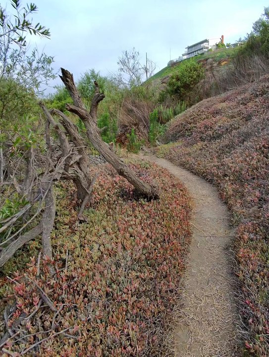 Talbert Regional Park - Parks Near Me - Costa Mesa, California