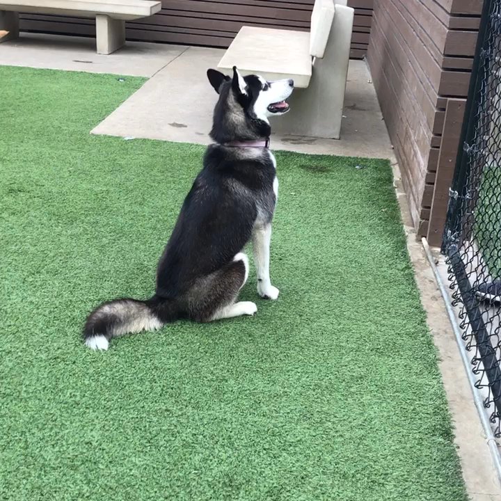 Barker Ranch Dog Park - Dog Parks Near Me - Lake Forest, California