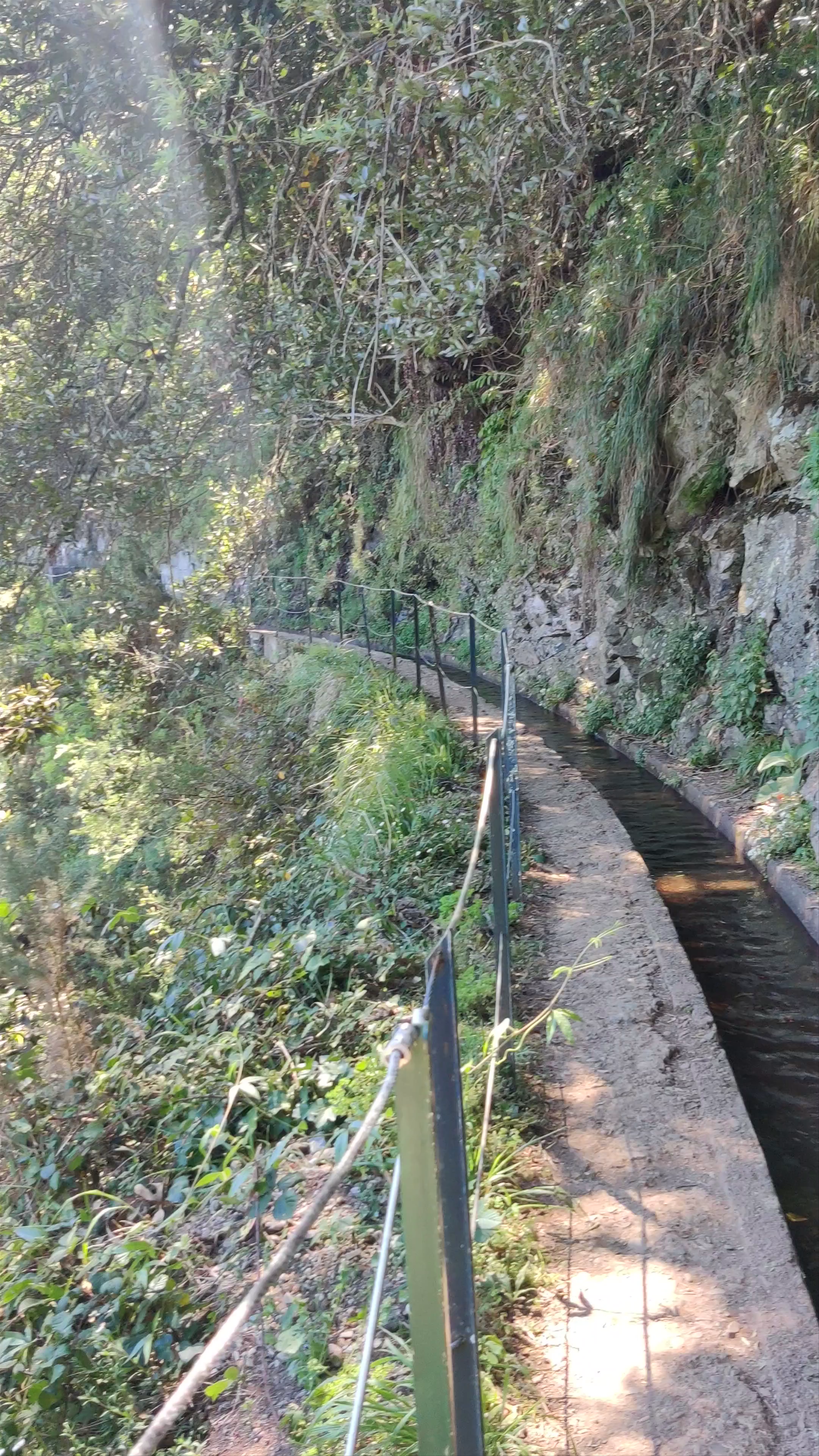 PR18 Levada do Rei: Serene Hiking through Madeira's Lush Mountains
