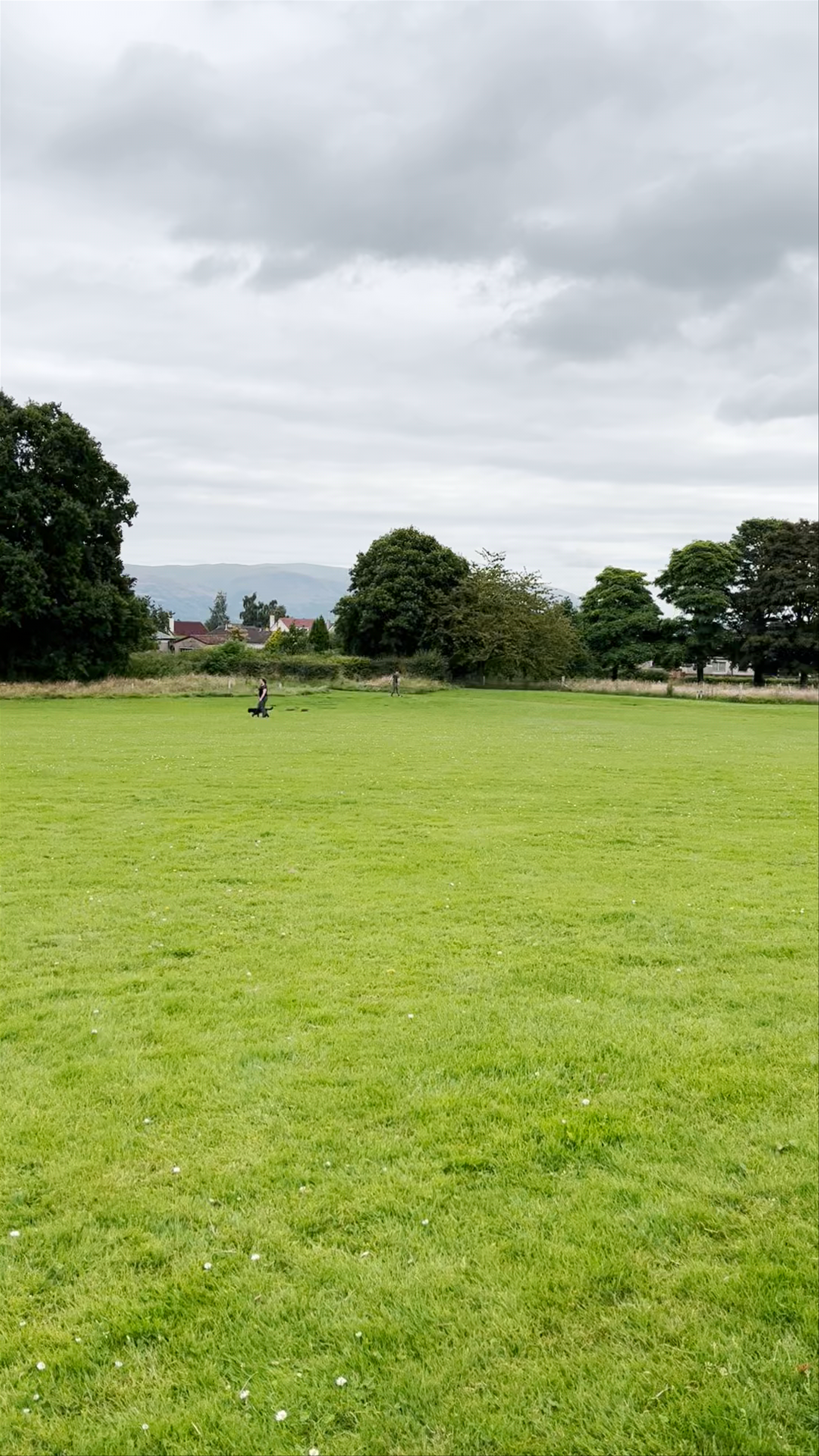 Robert the Bruce Statue