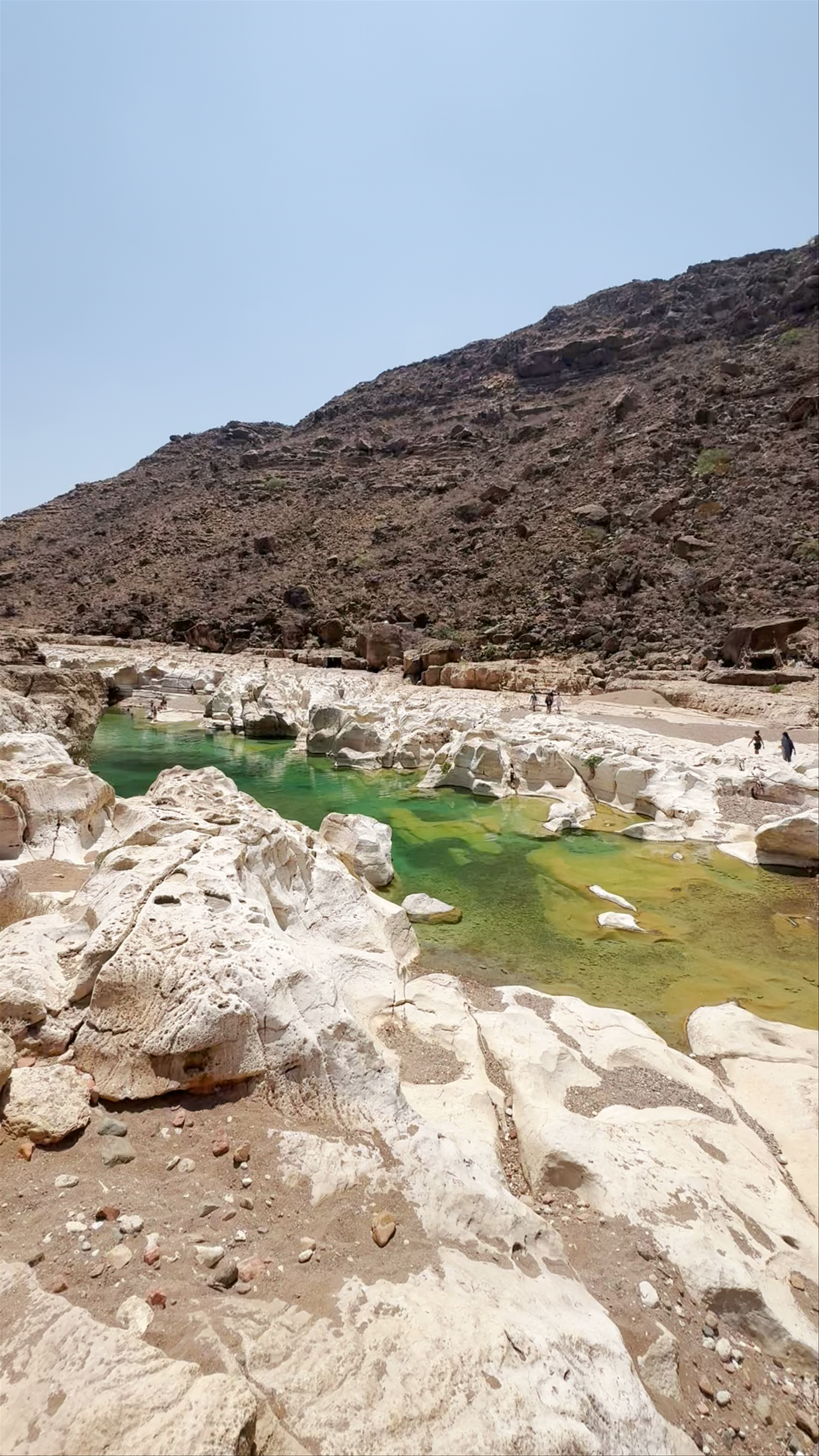مسبح طبيعي كليسن، Mutra