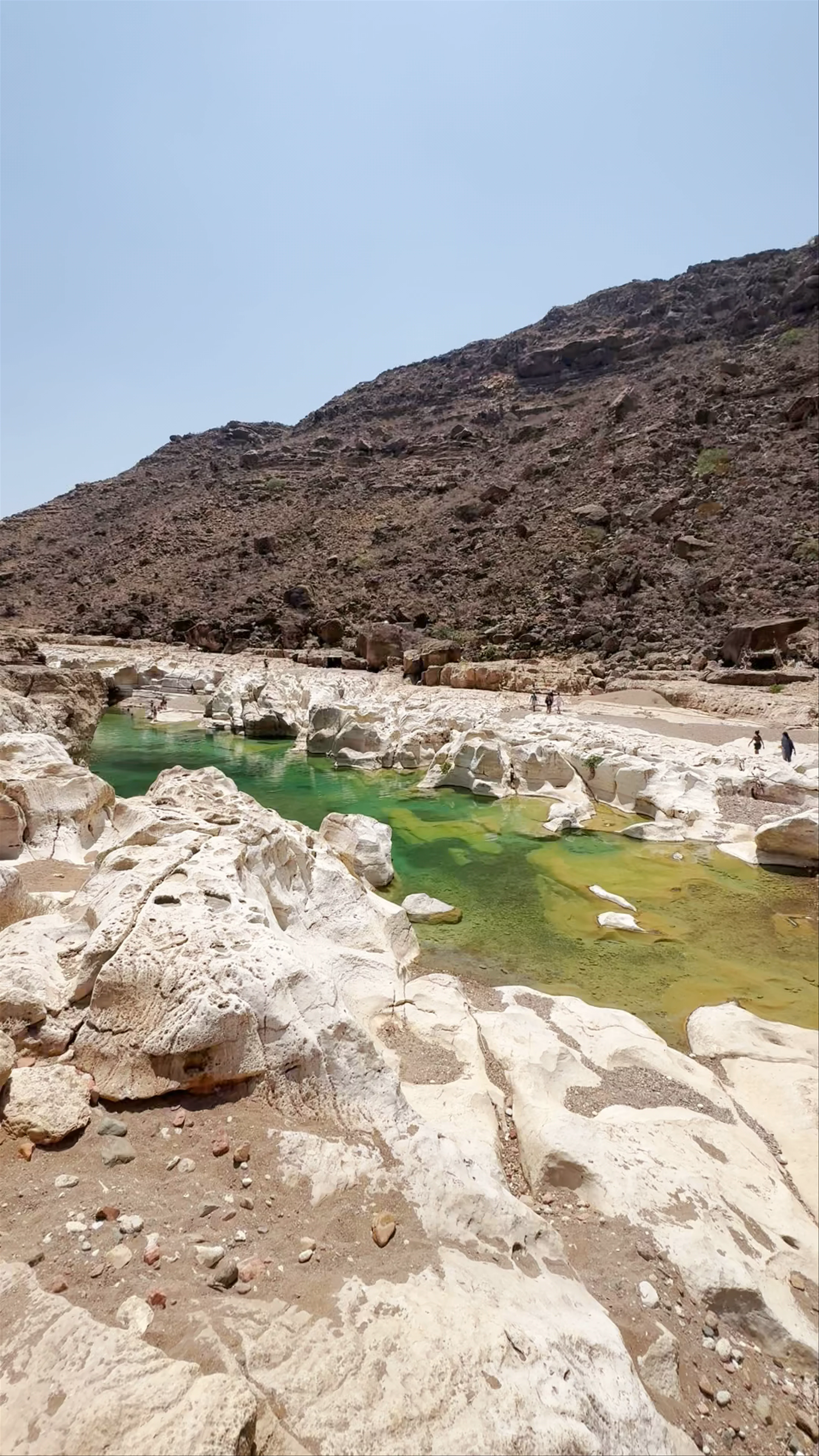 مسبح طبيعي كليسن، Mutra