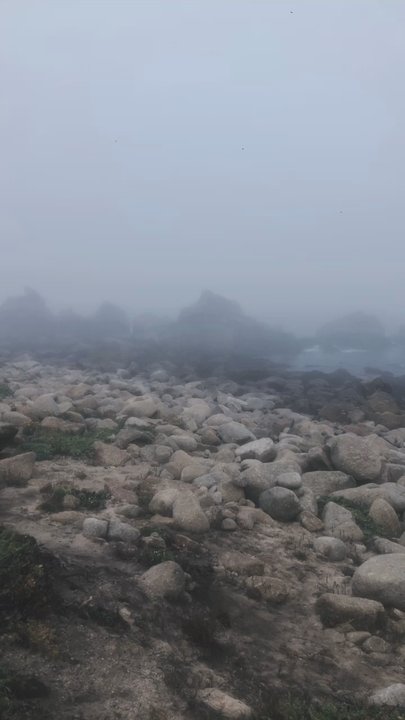 Asilomar Beach - Beaches Near Me - Pacific Grove, California