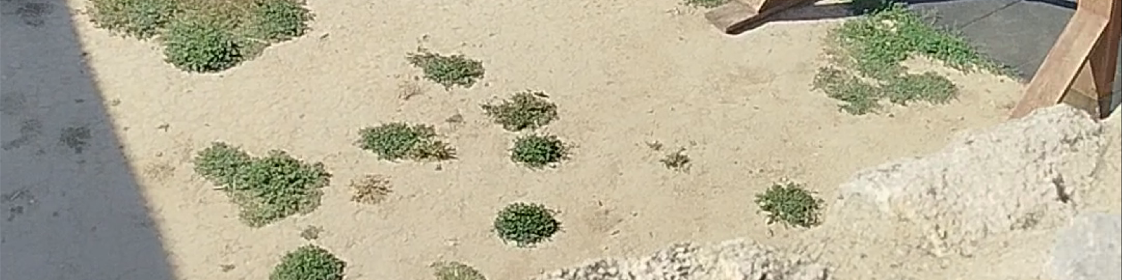 Serbia