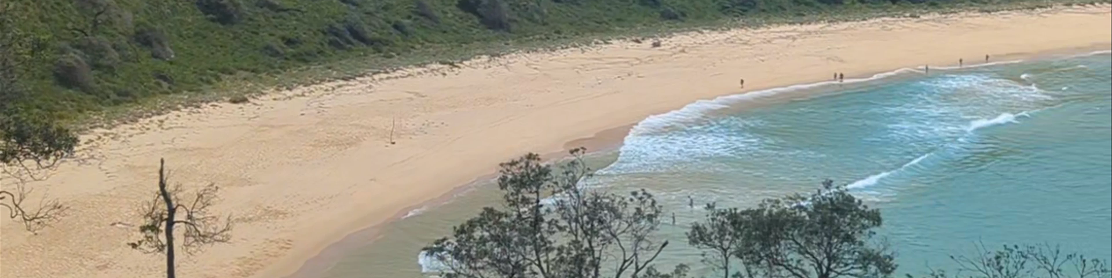 Steamers Beach
