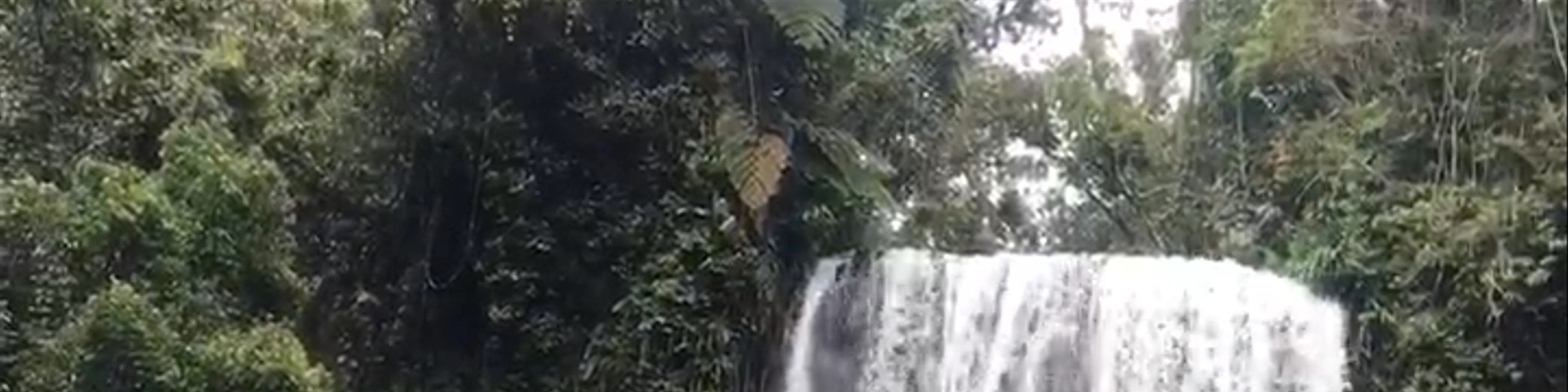 Millaa Millaa