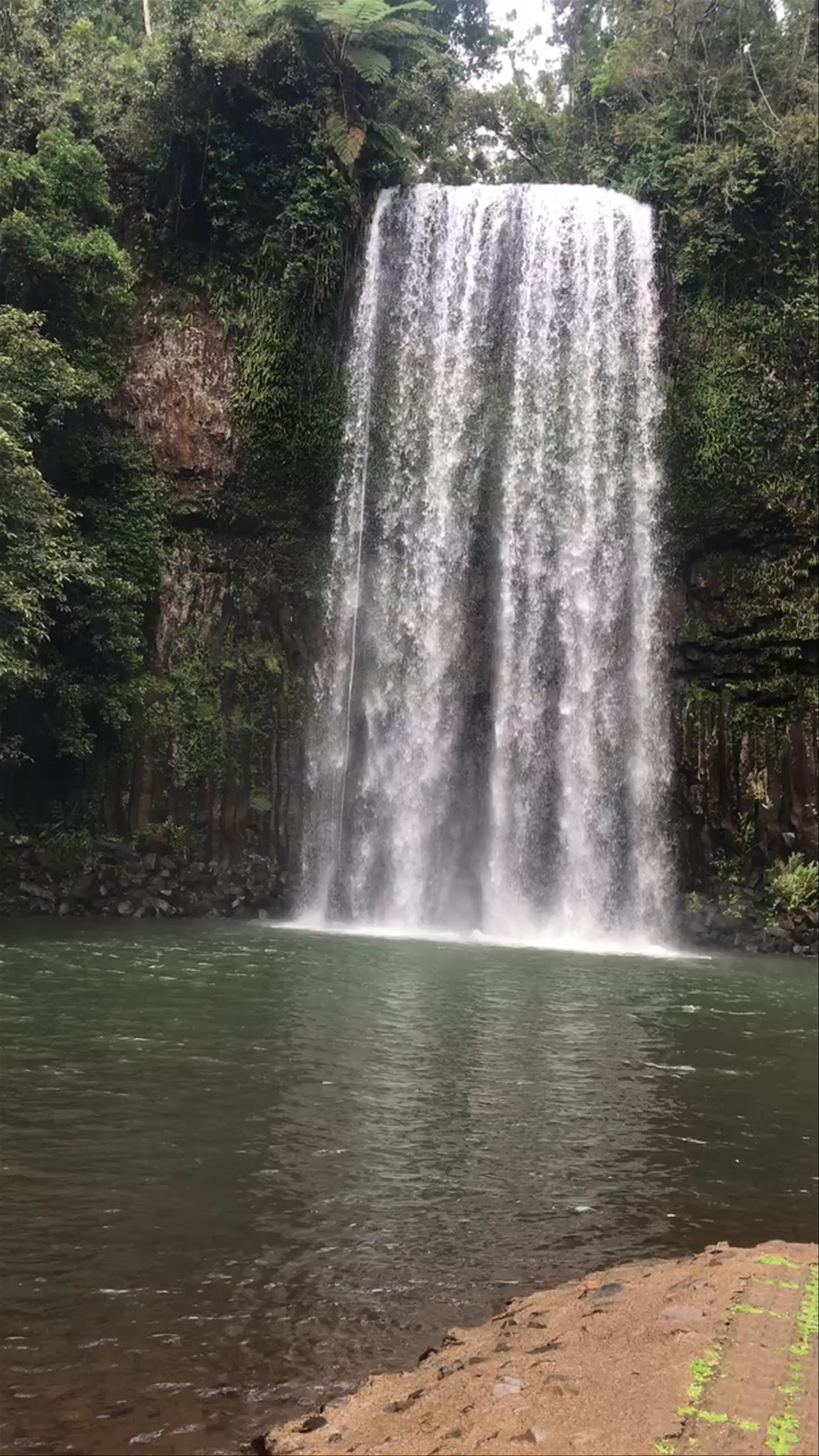 Millaa Millaa Waterfall