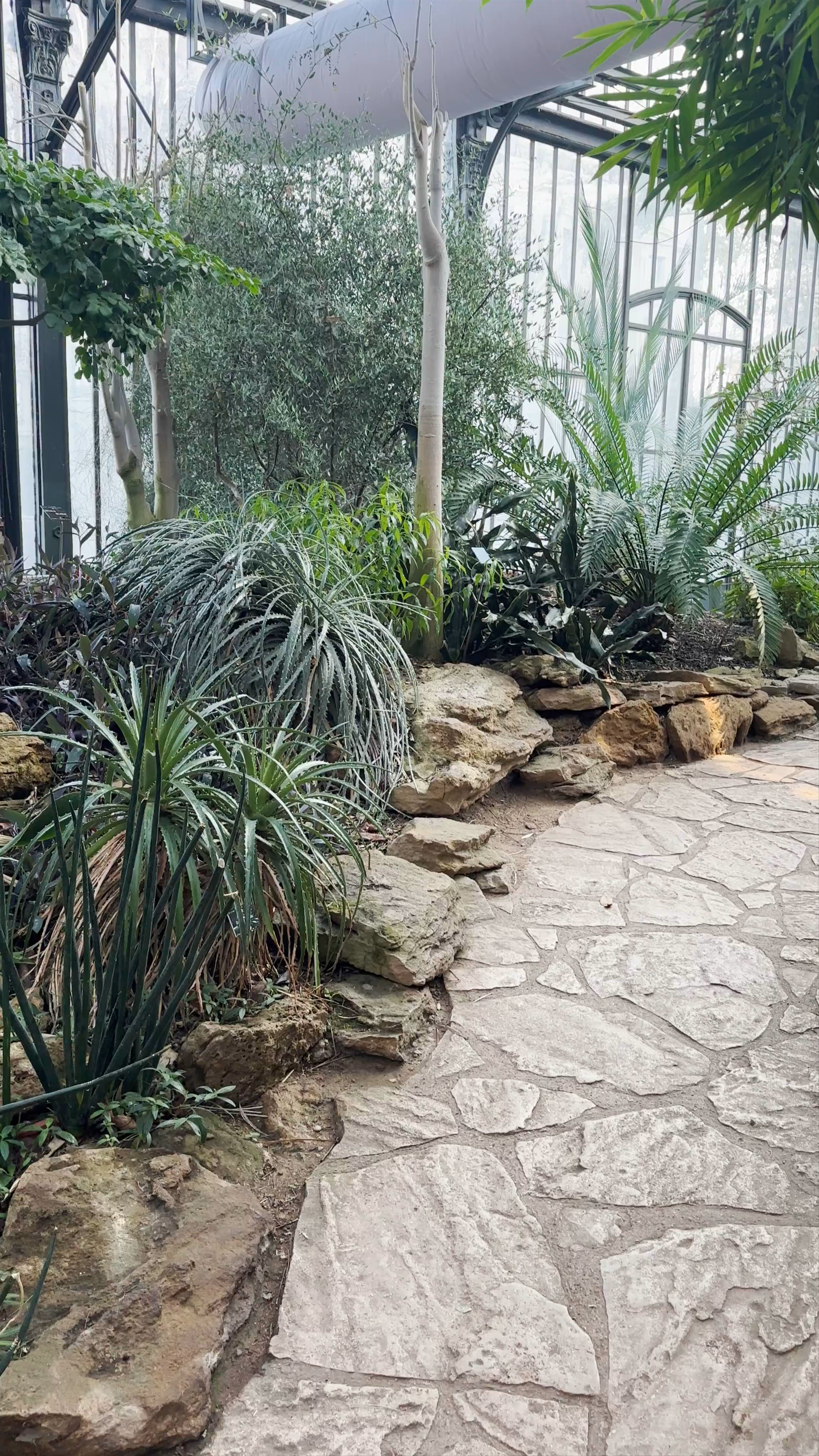 Lyon Botanical Garden