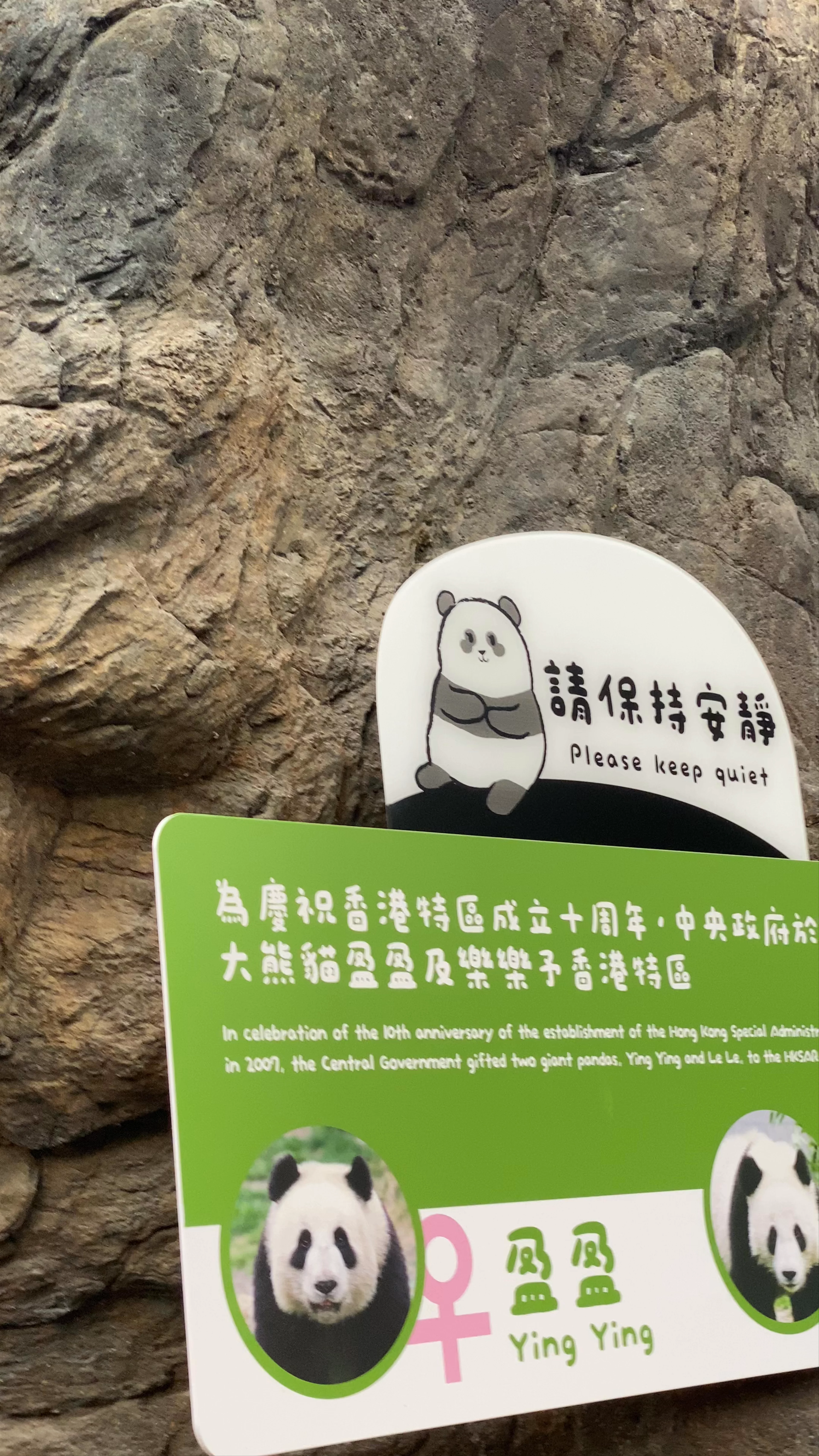 Giant Panda Adventure, Ocean Park
