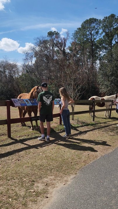Mill Creek Farm - Animal Shelters Near Me - Alachua, Florida