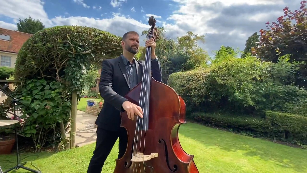 The Groove Train - Live Showreel - video